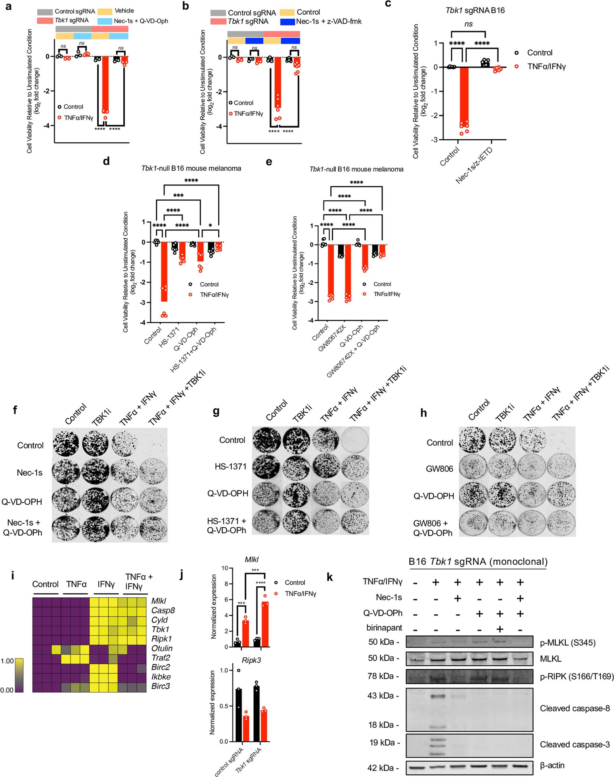 Extended Data Fig. 8: Supporting data that Tbk1-null cells undergo RIPK- and caspase-dependent cell death.