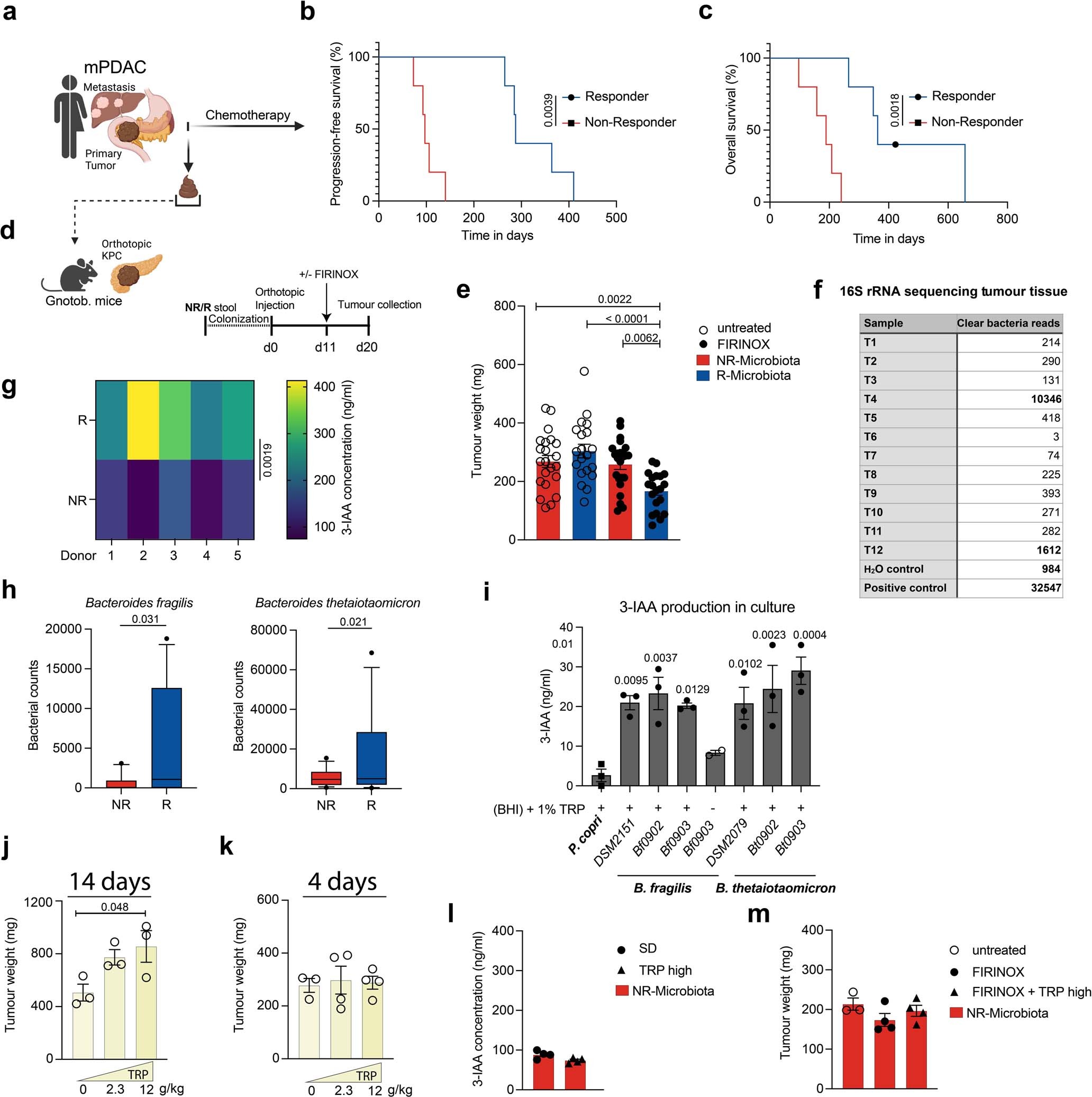 Extended Data Fig. 2: R microbiota induces a response to FIRINOX treatment.