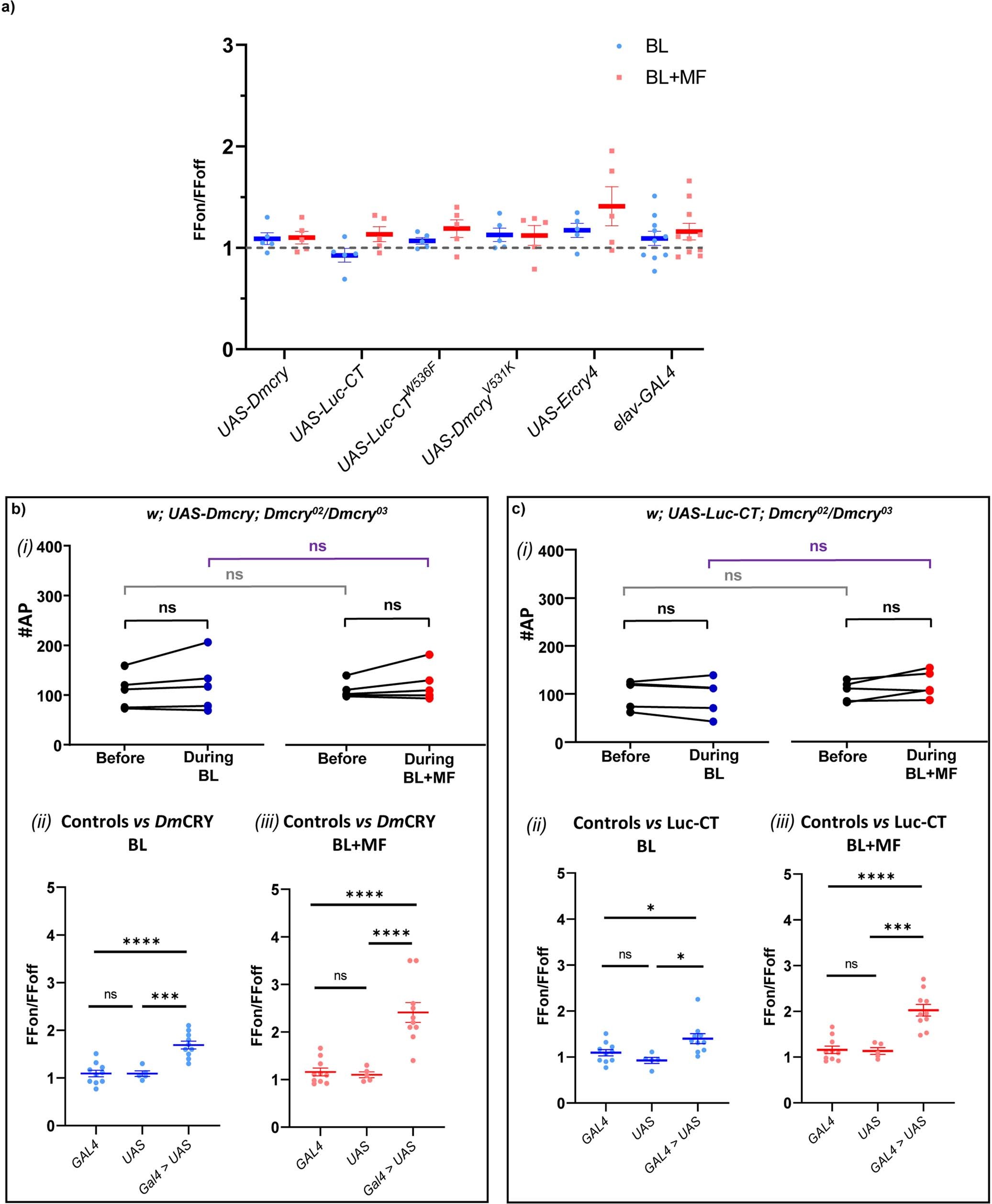 Extended Data Fig. 3: Supporting electrophysiological data (controls).