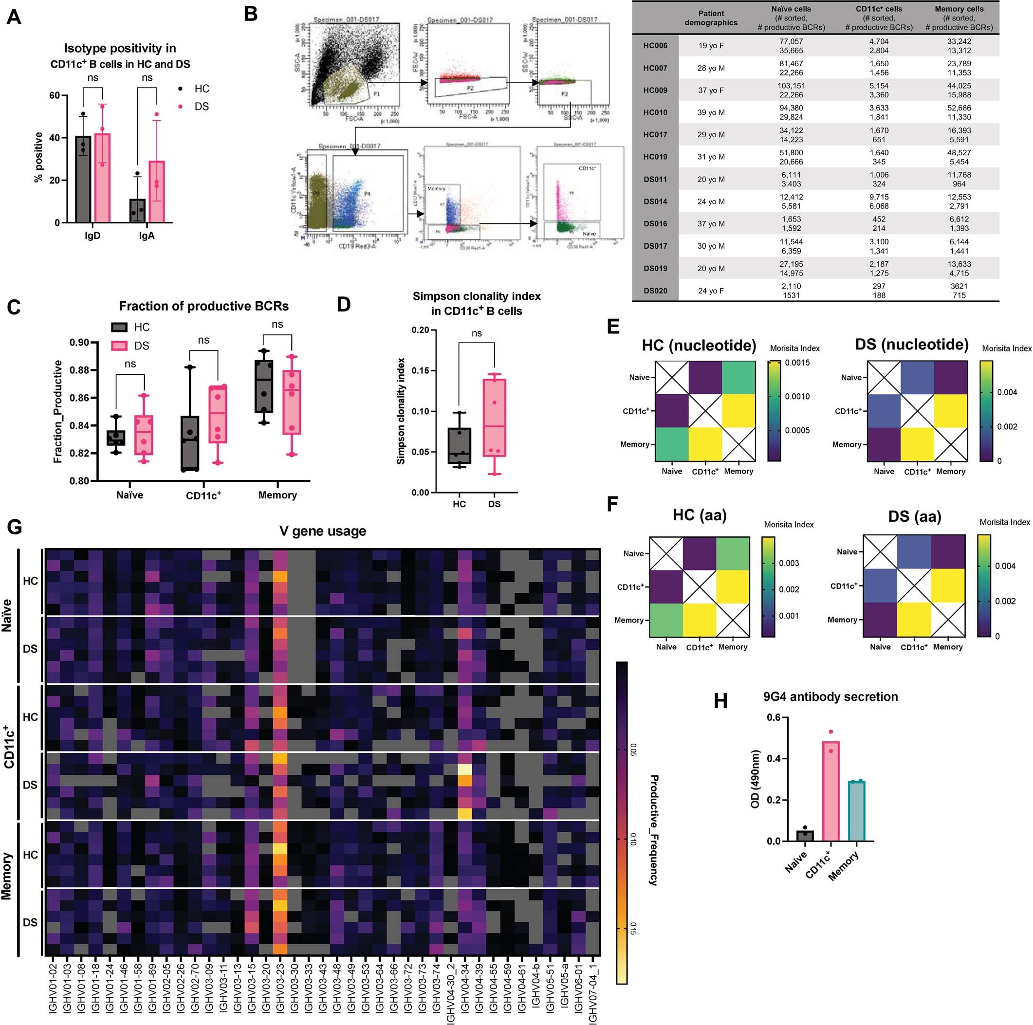 Extended Data Fig. 6: Receptor sequencing in atypical B cells.