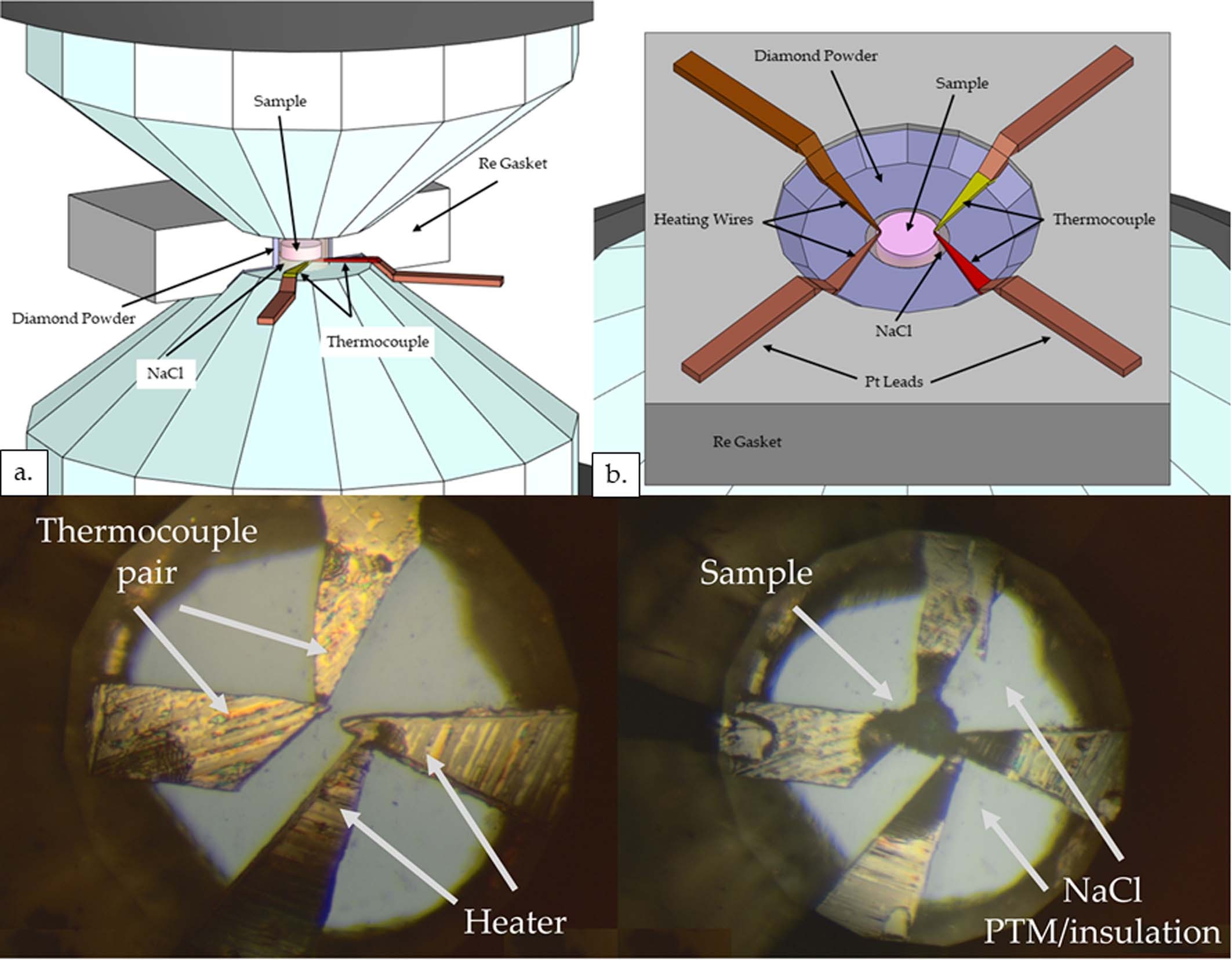 Extended Data Fig. 2
