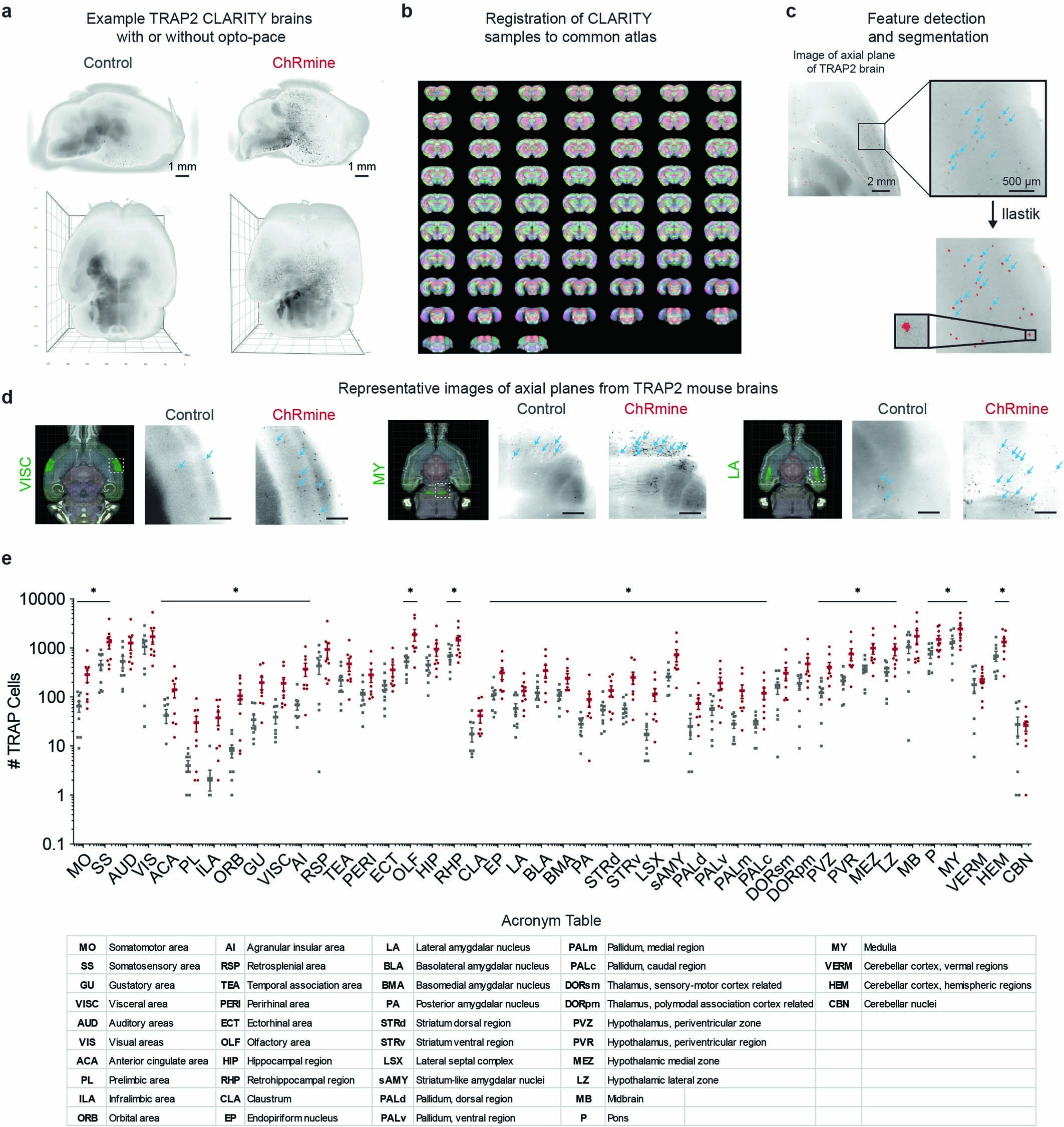 Extended Data Fig. 7: Generation of brain-wide activity maps during optical pacing.