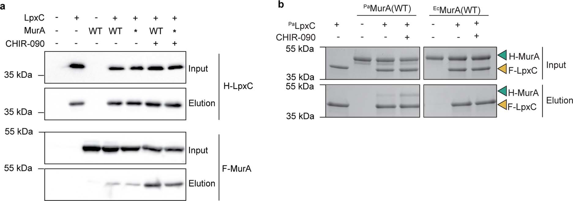 Extended Data Fig. 4