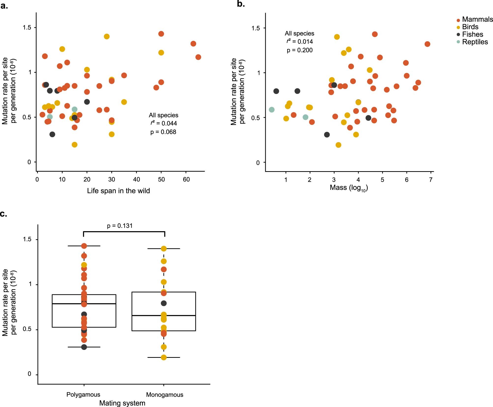 Extended Data Fig. 7: Three life-history traits are not significantly associated with the per-generation mutation rate.