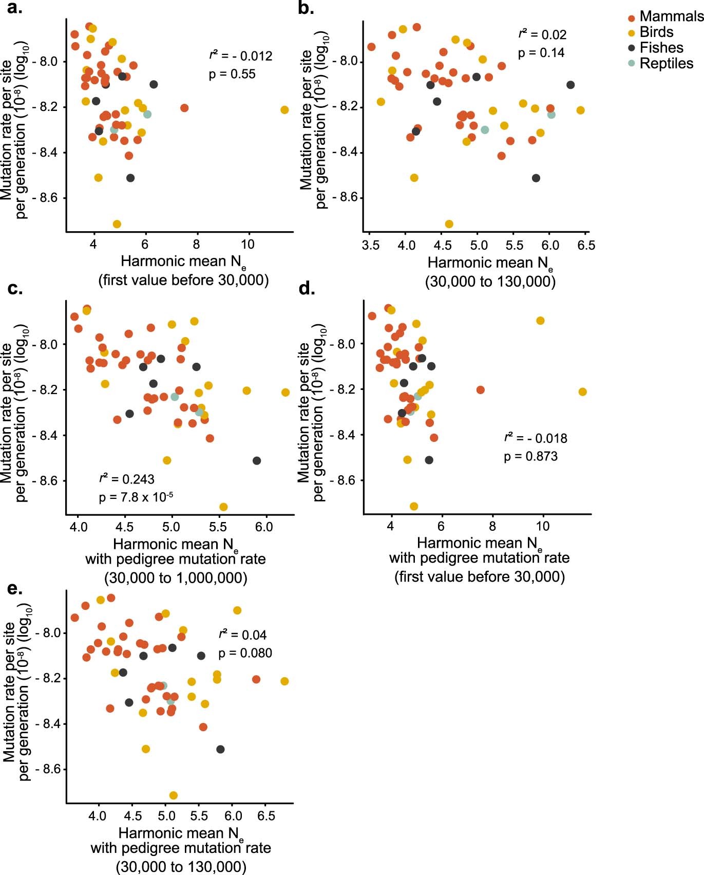 Extended Data Fig. 8: The drift barrier hypothesis on different times and different mutation rate parameters used to estimate Ne with phylogenetic regression (PGLS).