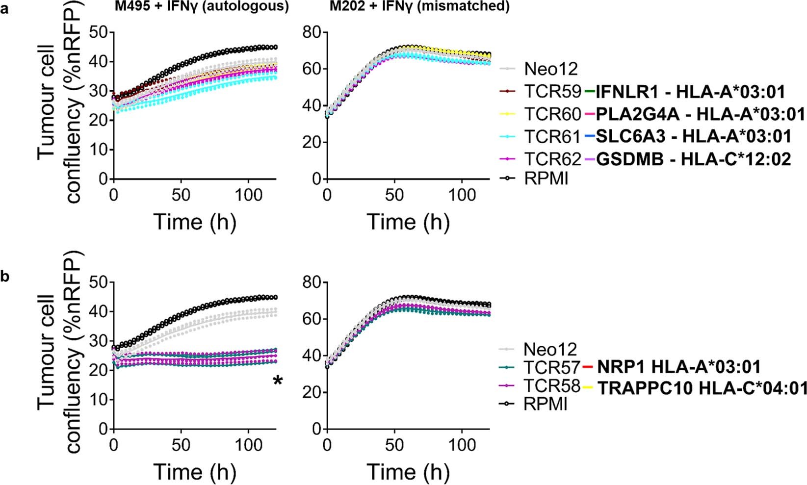 Extended Data Fig. 4: Cytotoxicity induced by neoantigen-specific TCRs from patient 1 upon co-culture with the autologous cell line.