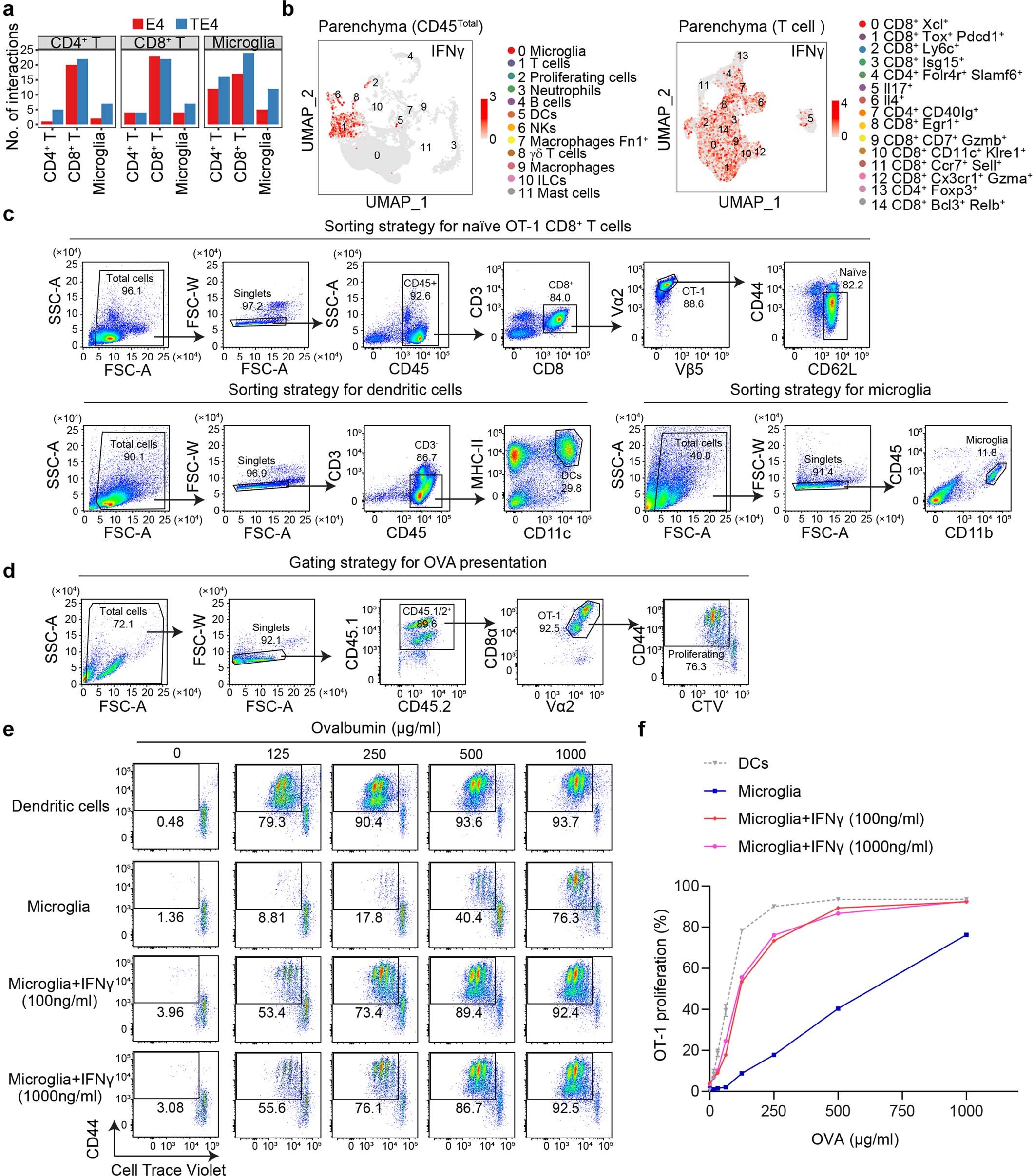 Extended Data Fig. 7: IFN-γ in the T cell population and microglia can directly present antigen to CD8+ T cells in vitro.