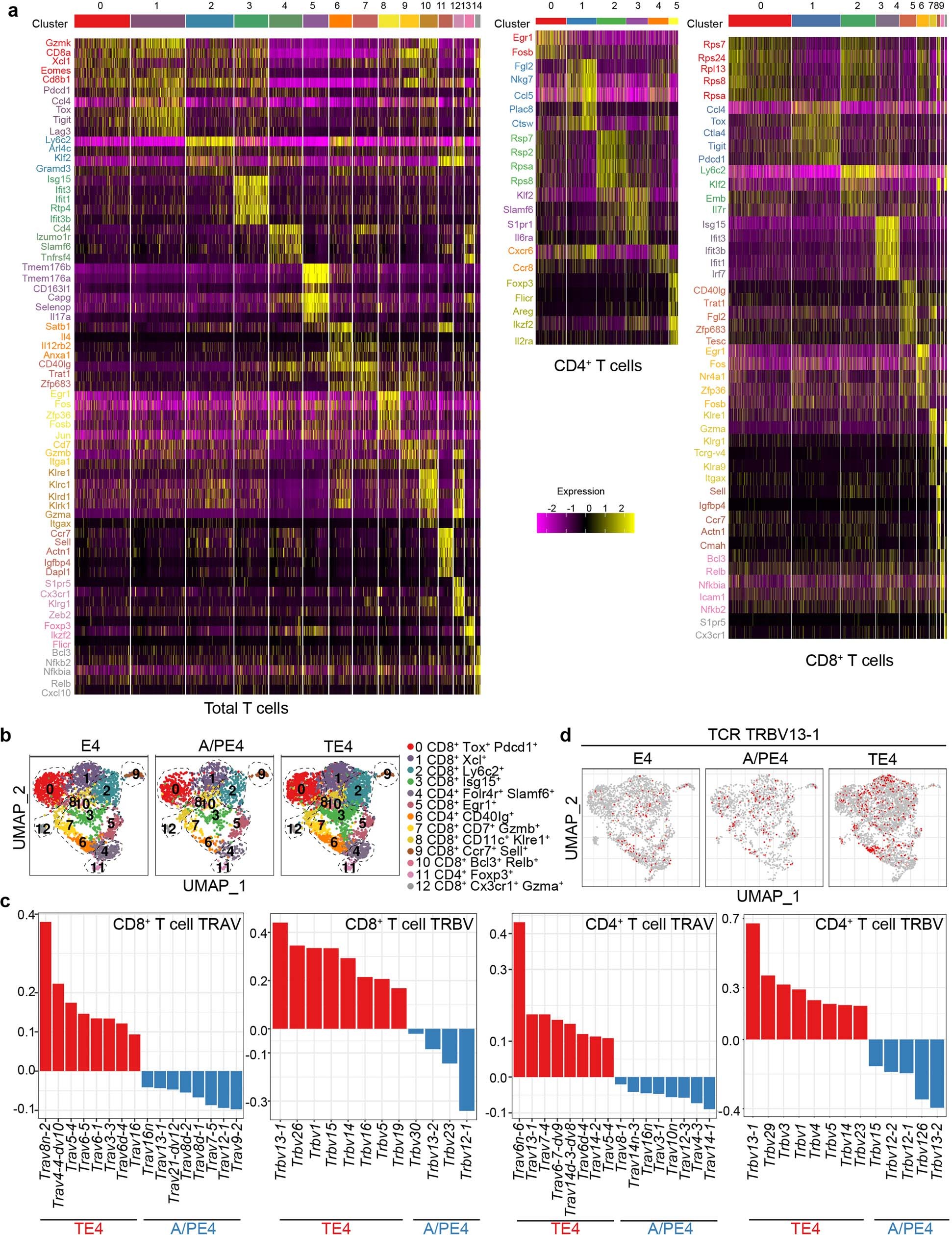 Extended Data Fig. 4: Characterization of T cell populations within the parenchyma and meninges of mice with amyloid or tau pathology.