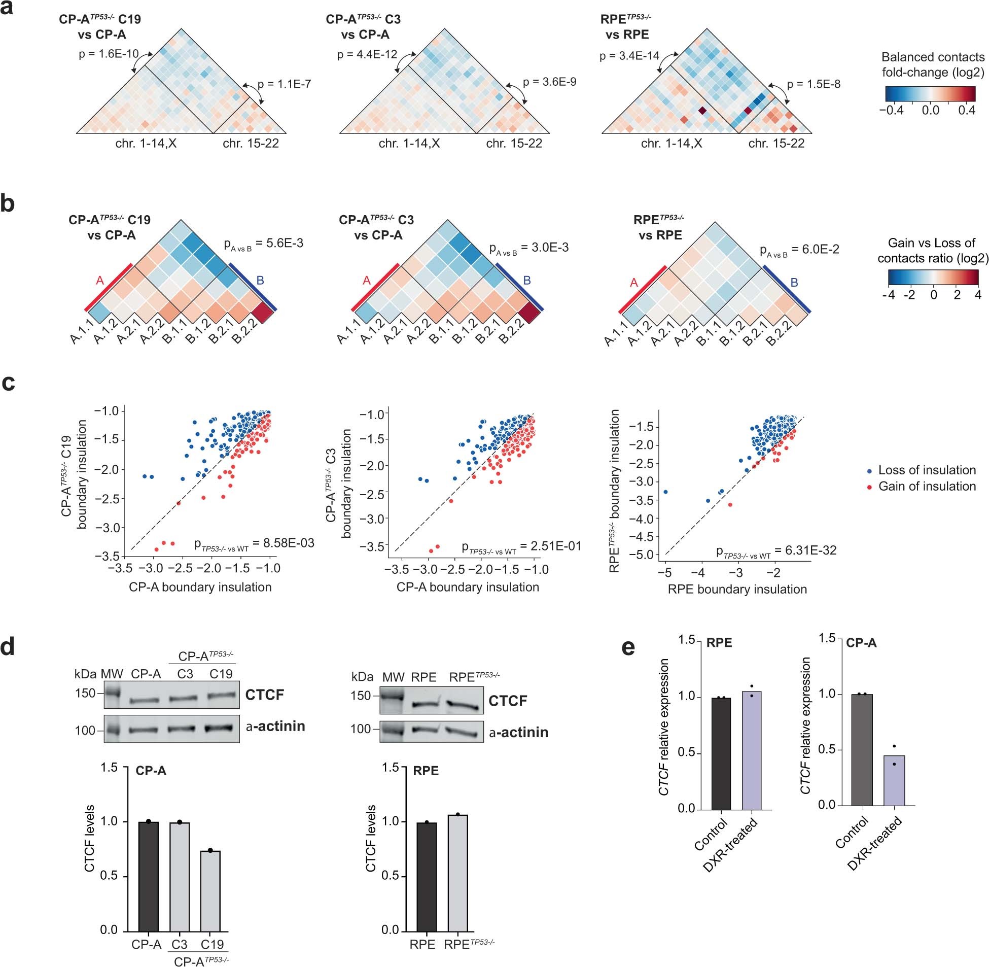 Extended Data Fig. 5: TP53 loss is not the cause of LCS.