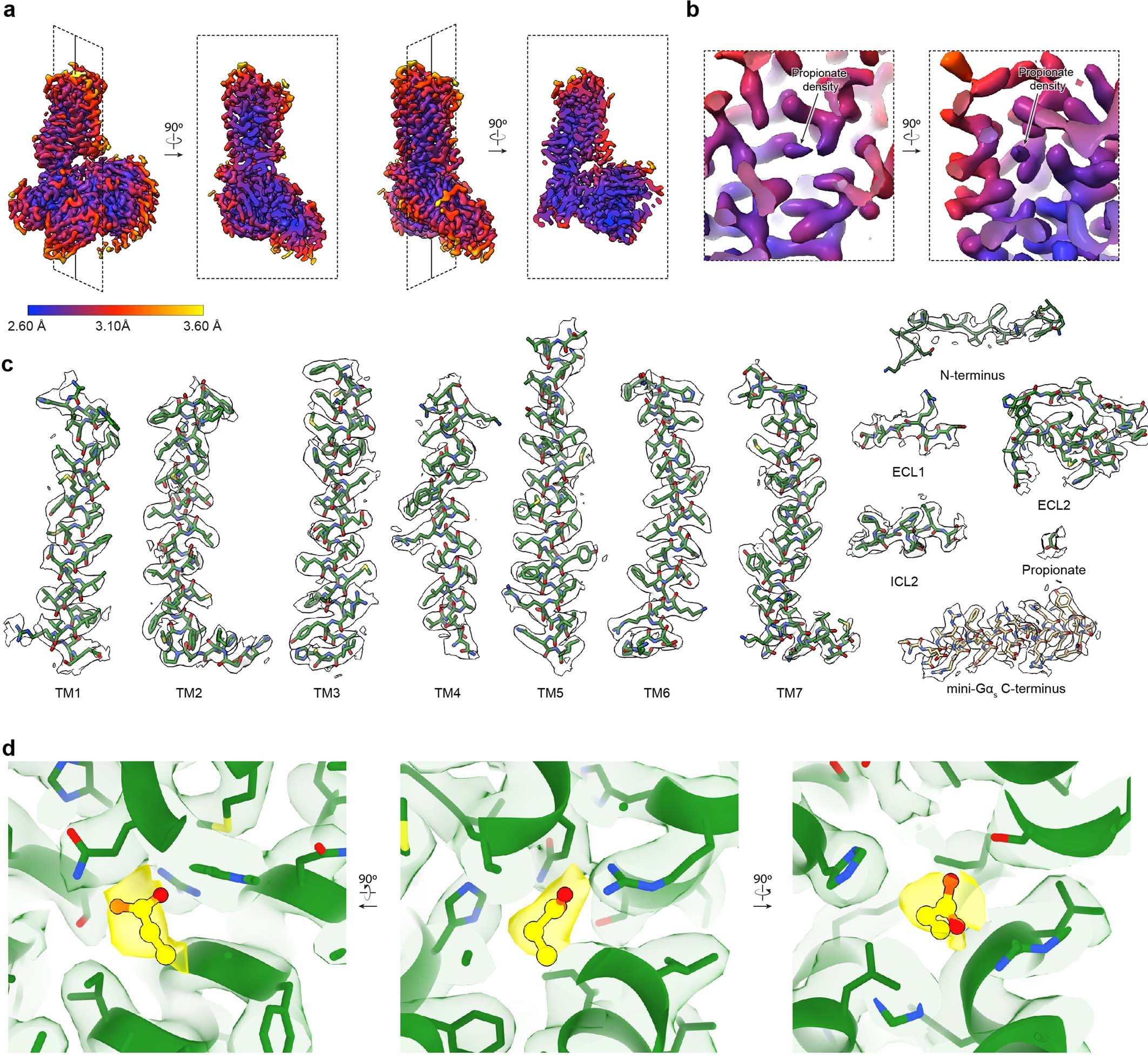Extended Data Fig. 4