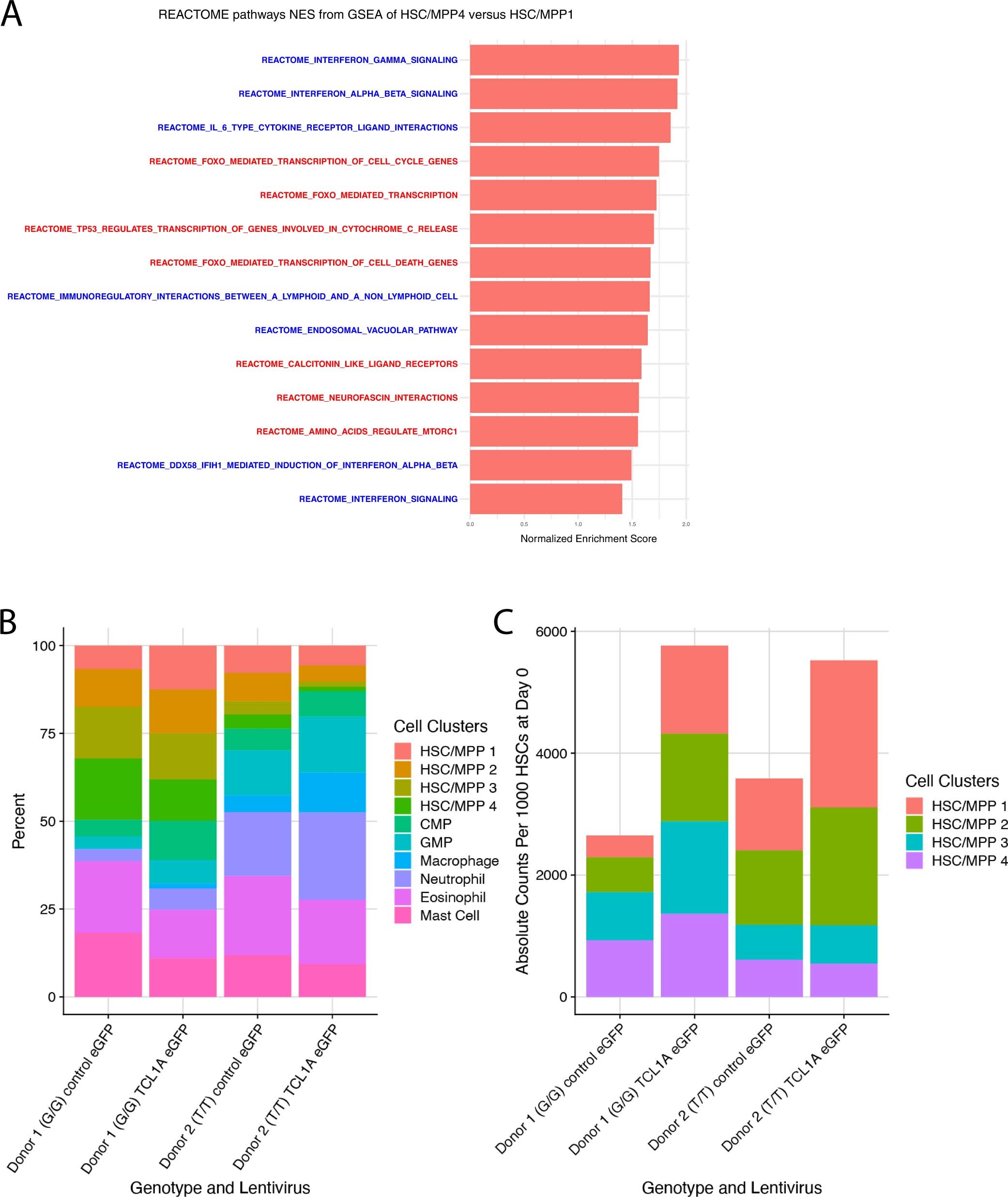 Extended Data Fig. 11: Effect of TCL1A Expression on Human HSC/MPP Phenotypes.