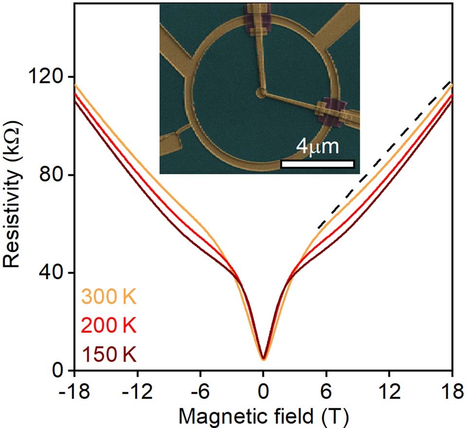 Extended Data Fig. 7: Quantum linear MR in Corbino devices.