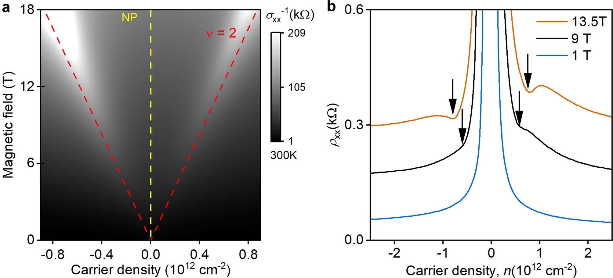 Extended Data Fig. 6: Room-temperature Landau quantization in moderate magnetic fields.