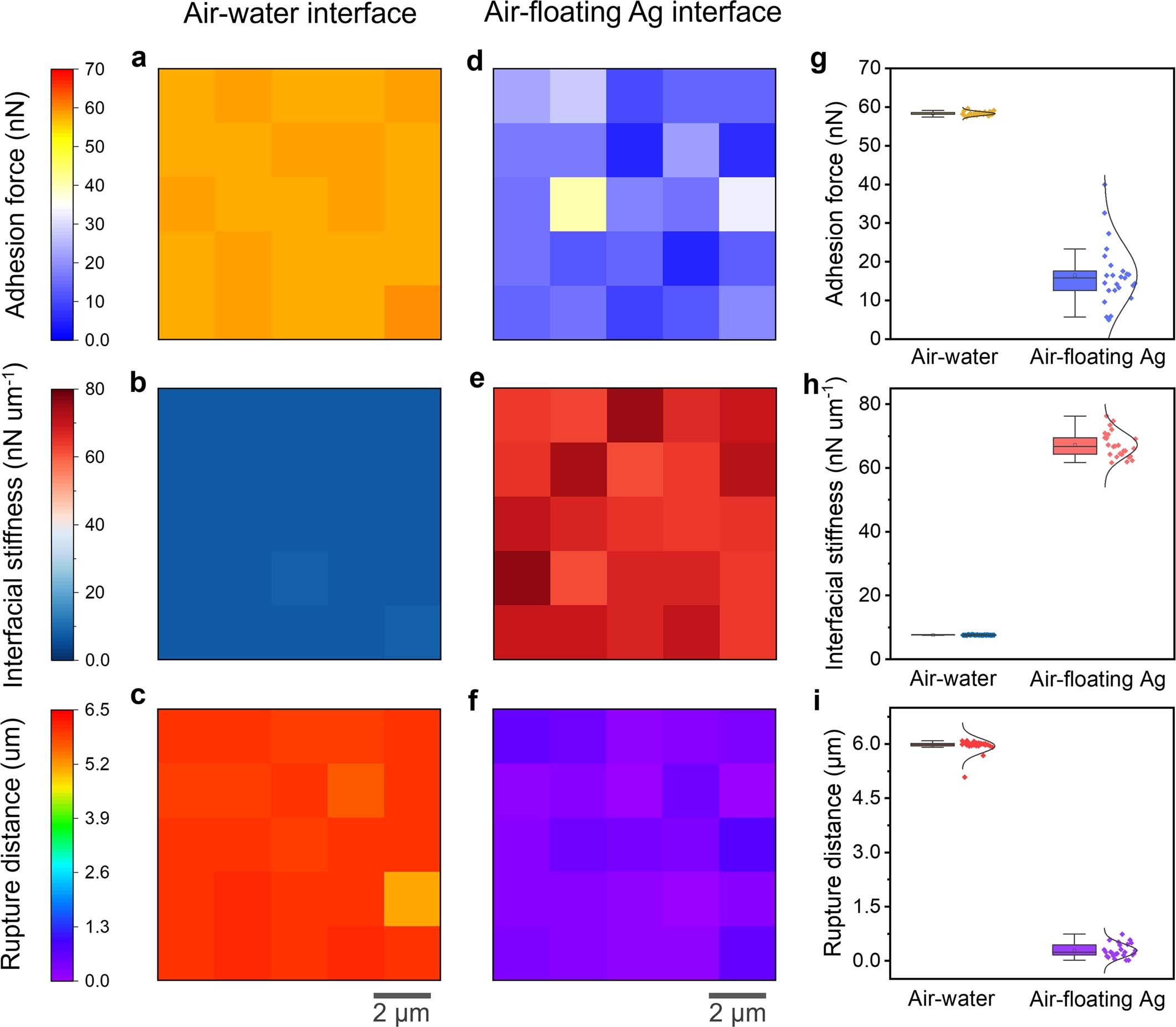 Extended Data Fig. 4: Confirmation of the actual position of the as-prepared floating Ag membrane on the aqueous surface.