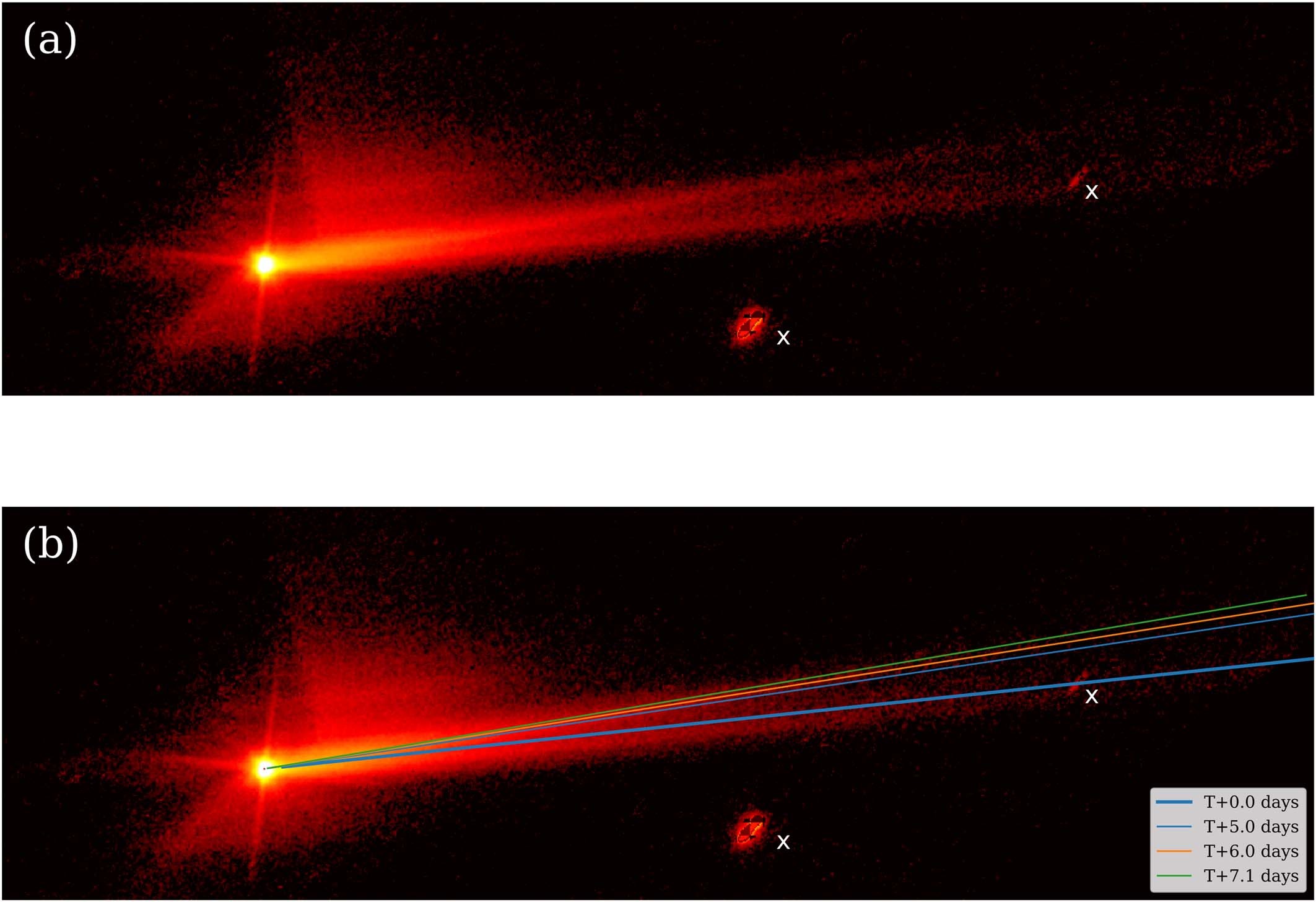 Extended Data Fig. 6: Synchrone analysis of the main tail and the secondary tail.