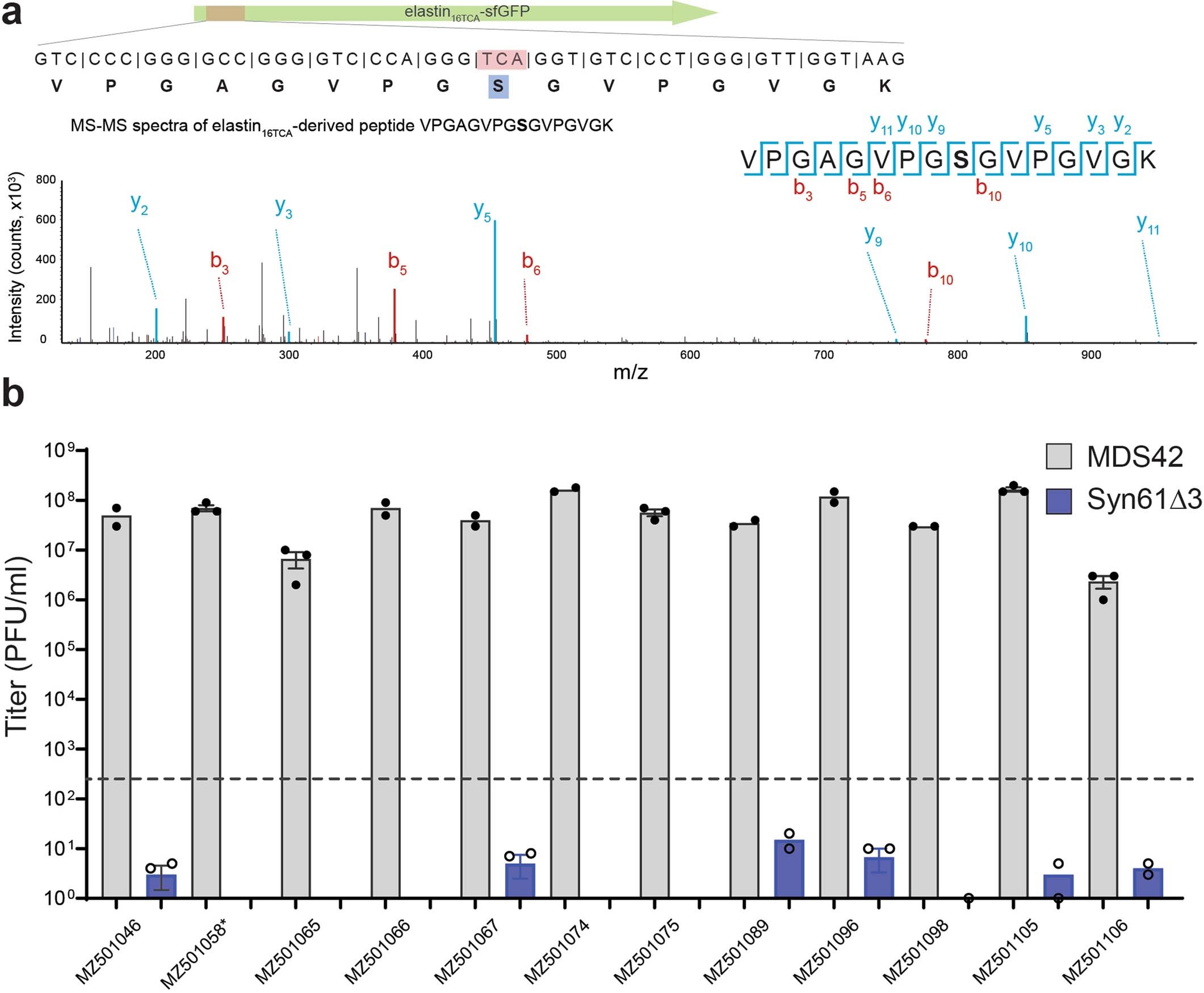 Extended Data Fig. 1: Viral serine tRNAs decode TCA codons as serine, but Syn61∆3 obstructs the replication of viruses containing genomic tRNA-SerUGA.