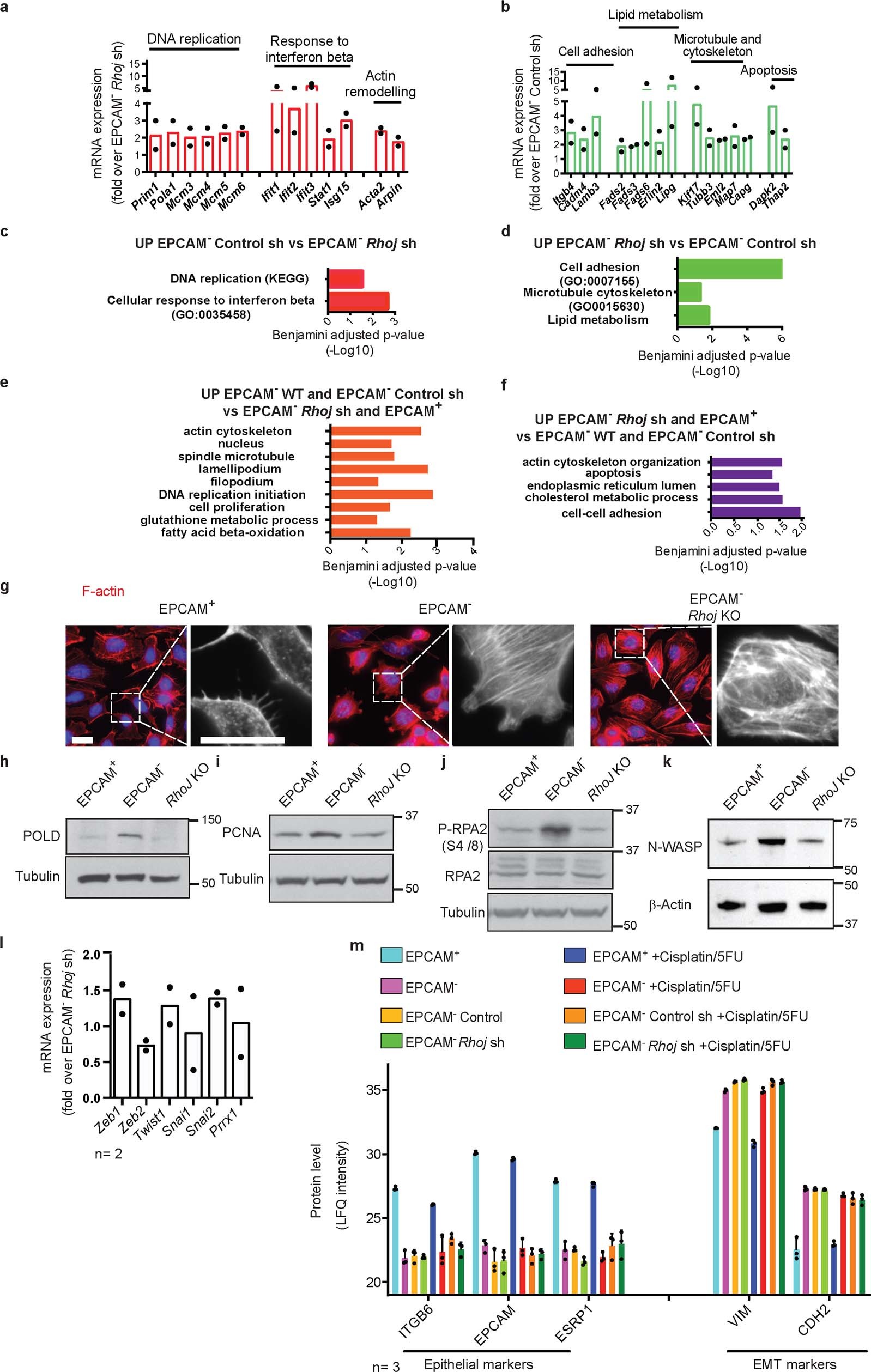 Extended Data Fig. 5