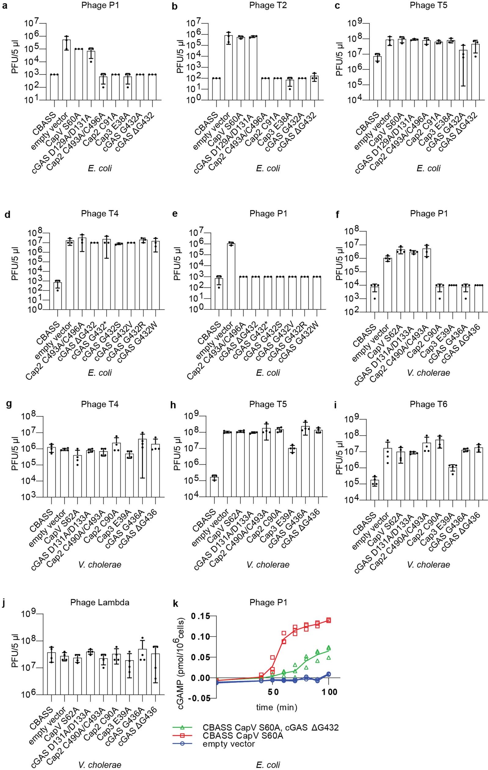 Extended Data Fig. 2: Viral titers of bacteriophages in bacteria harboring CBASS operons with point mutations in the indicated genes.