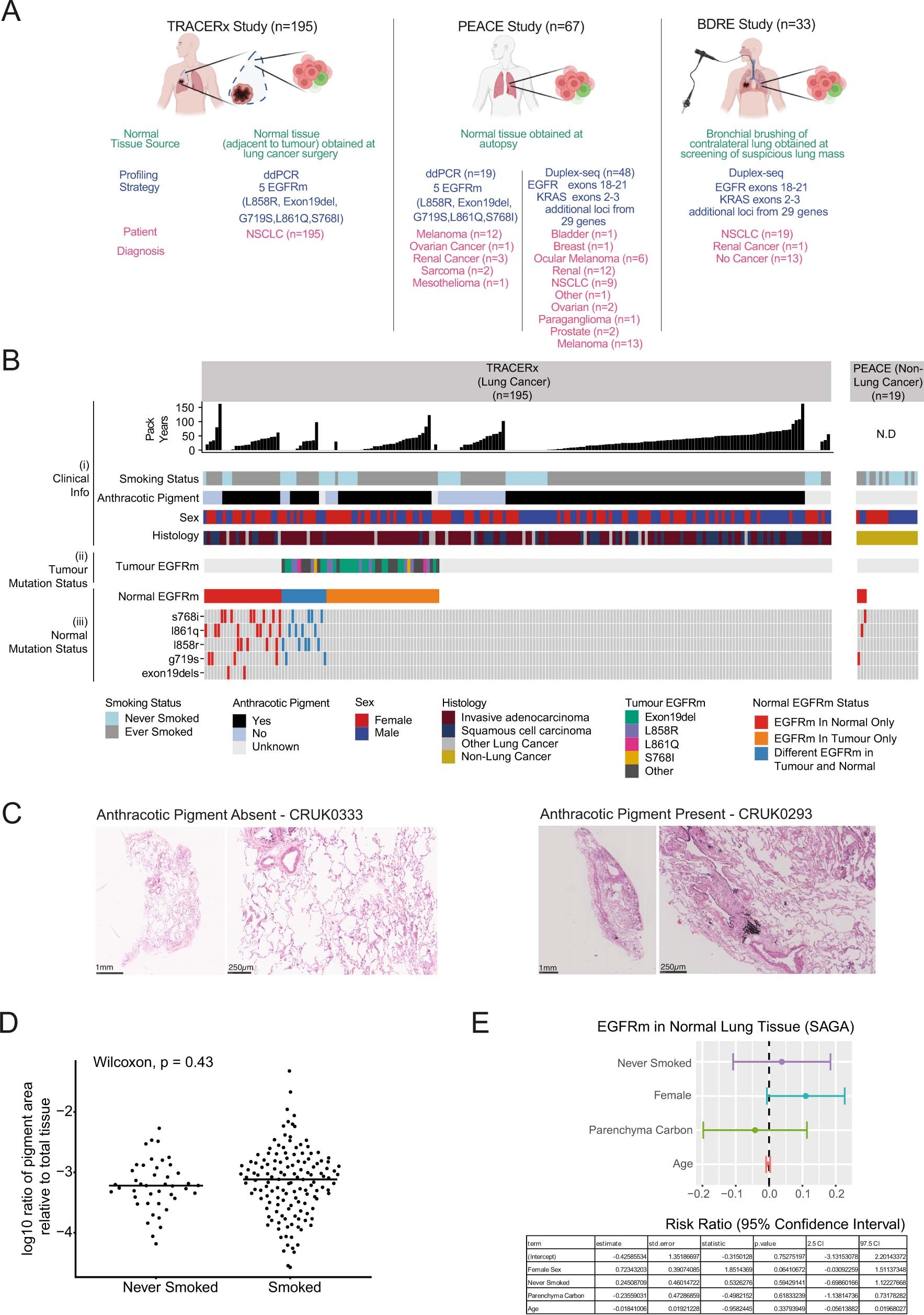 Extended Data Fig. 8: Normal tissue study design and ddPCR results.