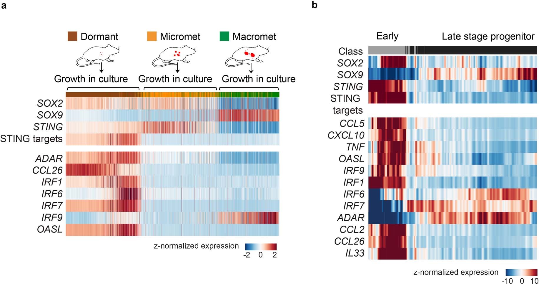 Extended Data Fig. 4: Expression of canonical STING pathway targets from scRNA-seq datasets.