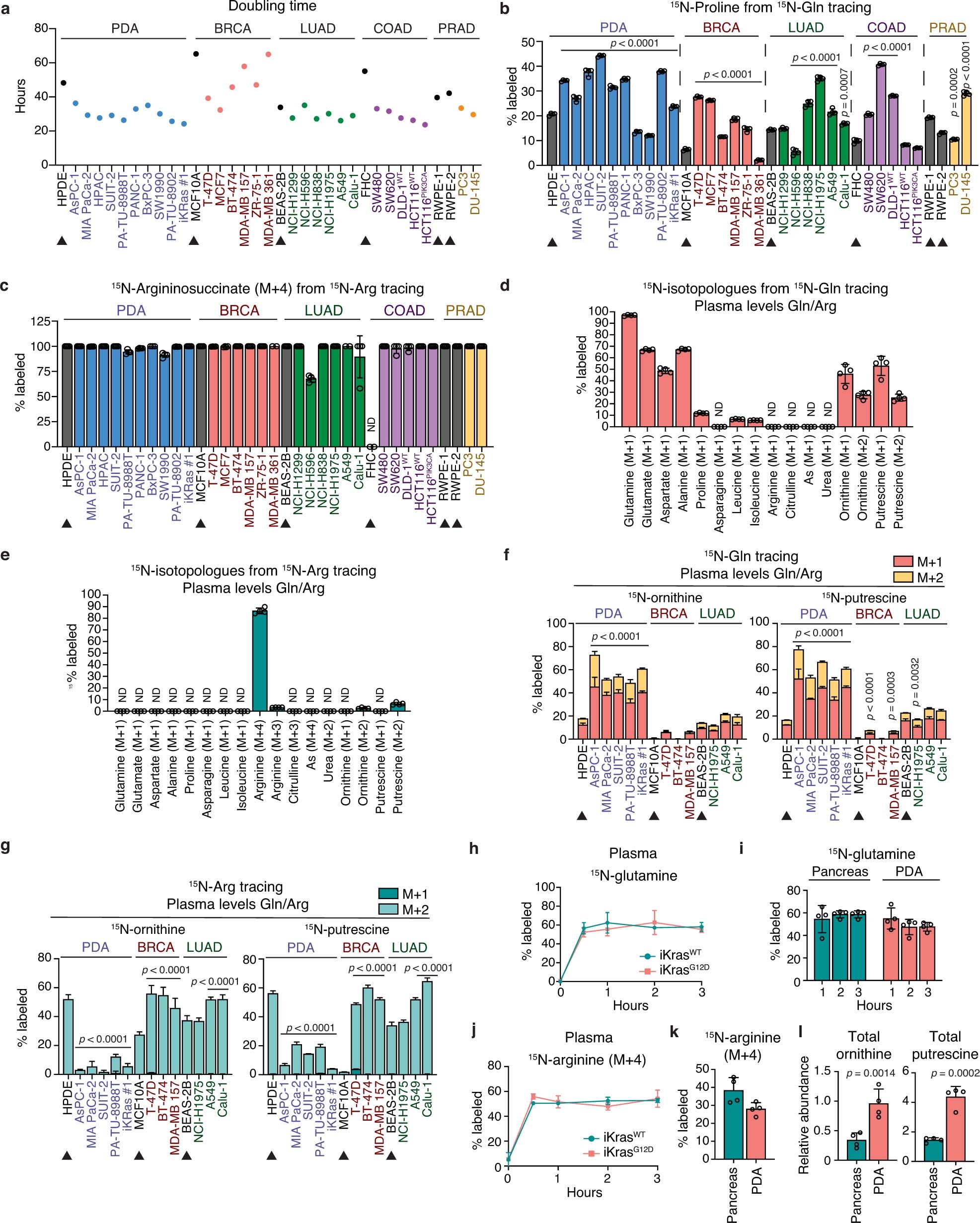 Extended Data Fig. 2: Enhanced de novo ornithine synthesis is a distinct feature of PDA.