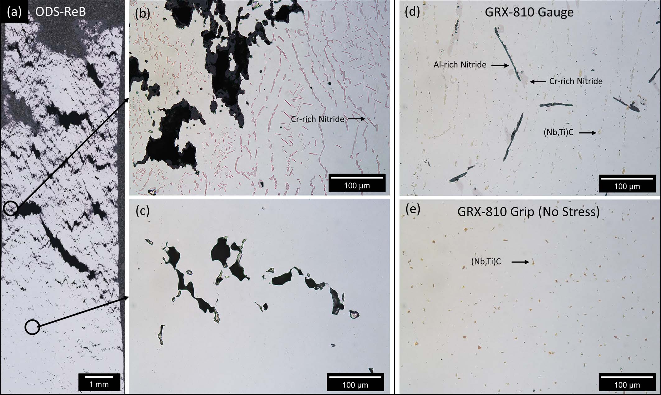 Extended Data Fig. 9
