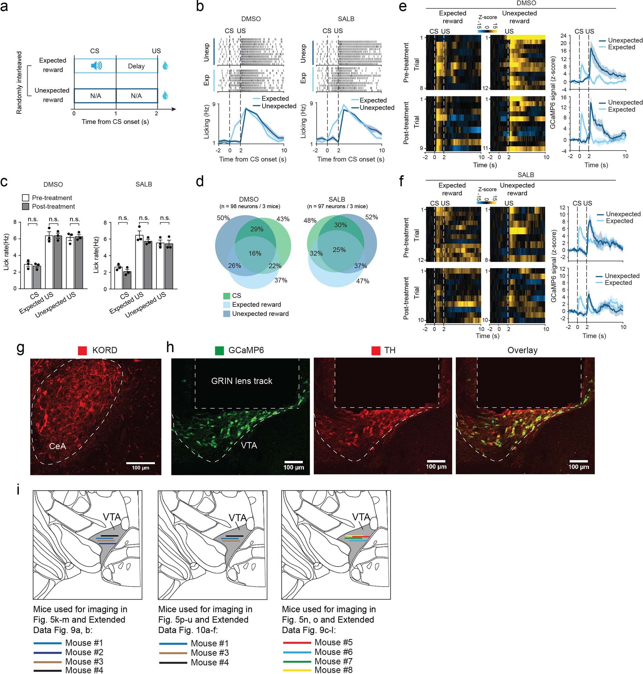 Extended Data Fig. 10: Assessing the effects of Sst+ CeA neuron inhibition on DA neuron responses to expected and unexpected reward.
