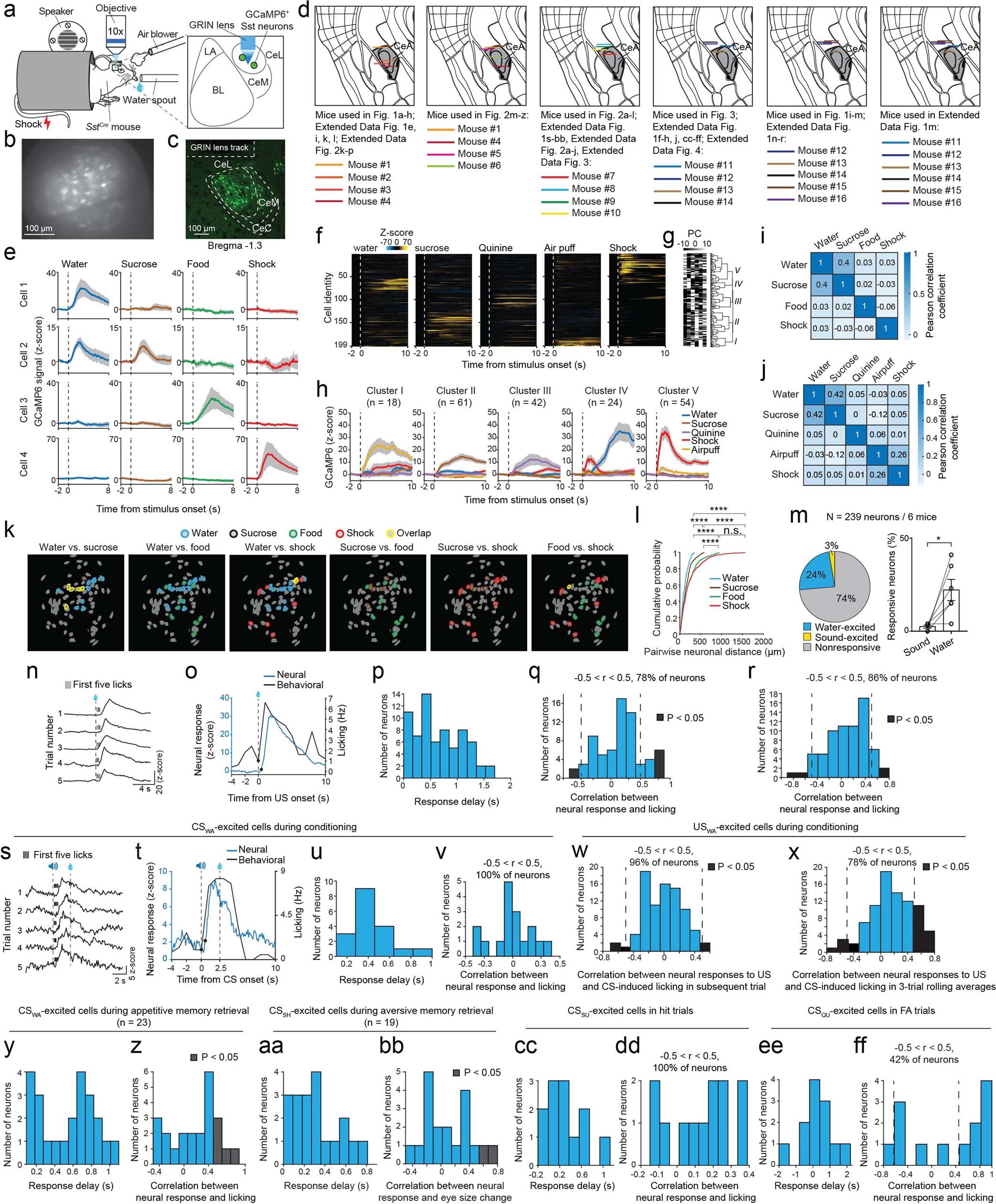 Extended Data Fig. 1: Characterization of Sst+ CeA neuronal responses.