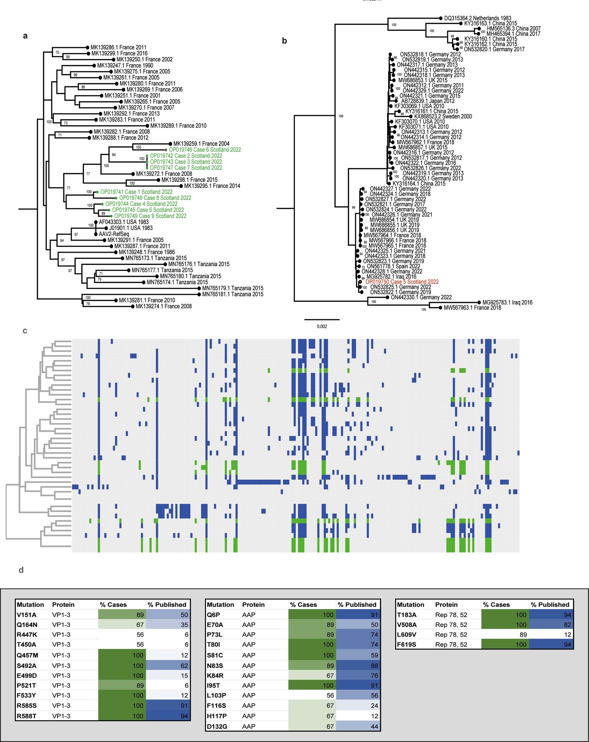 Extended Data Fig. 2: Phylogenetic and sequence analysis of AAV2 genomes.