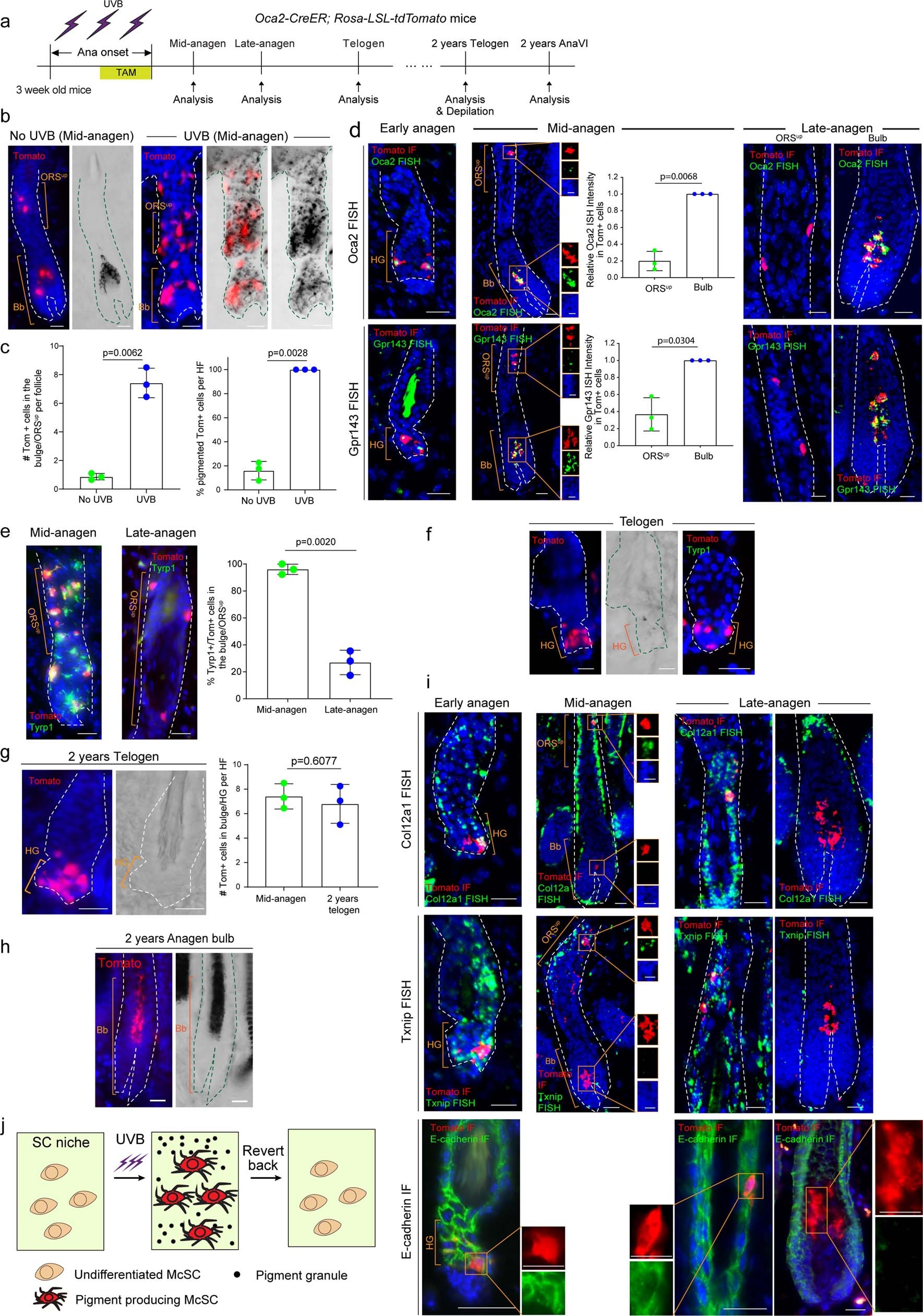 Extended Data Fig. 10