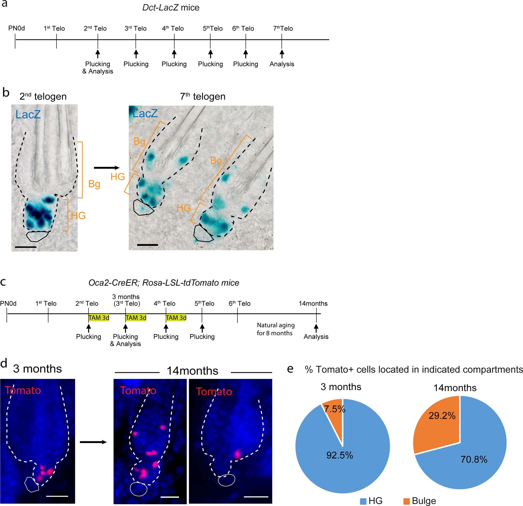 Extended Data Fig. 13