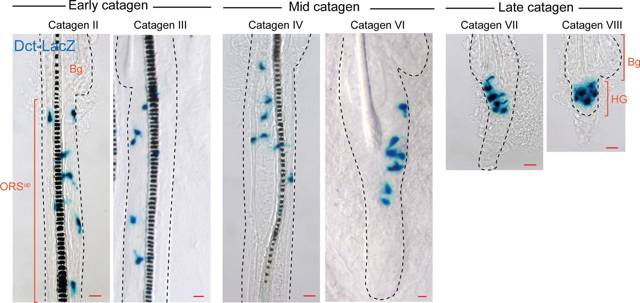 Extended Data Fig. 3