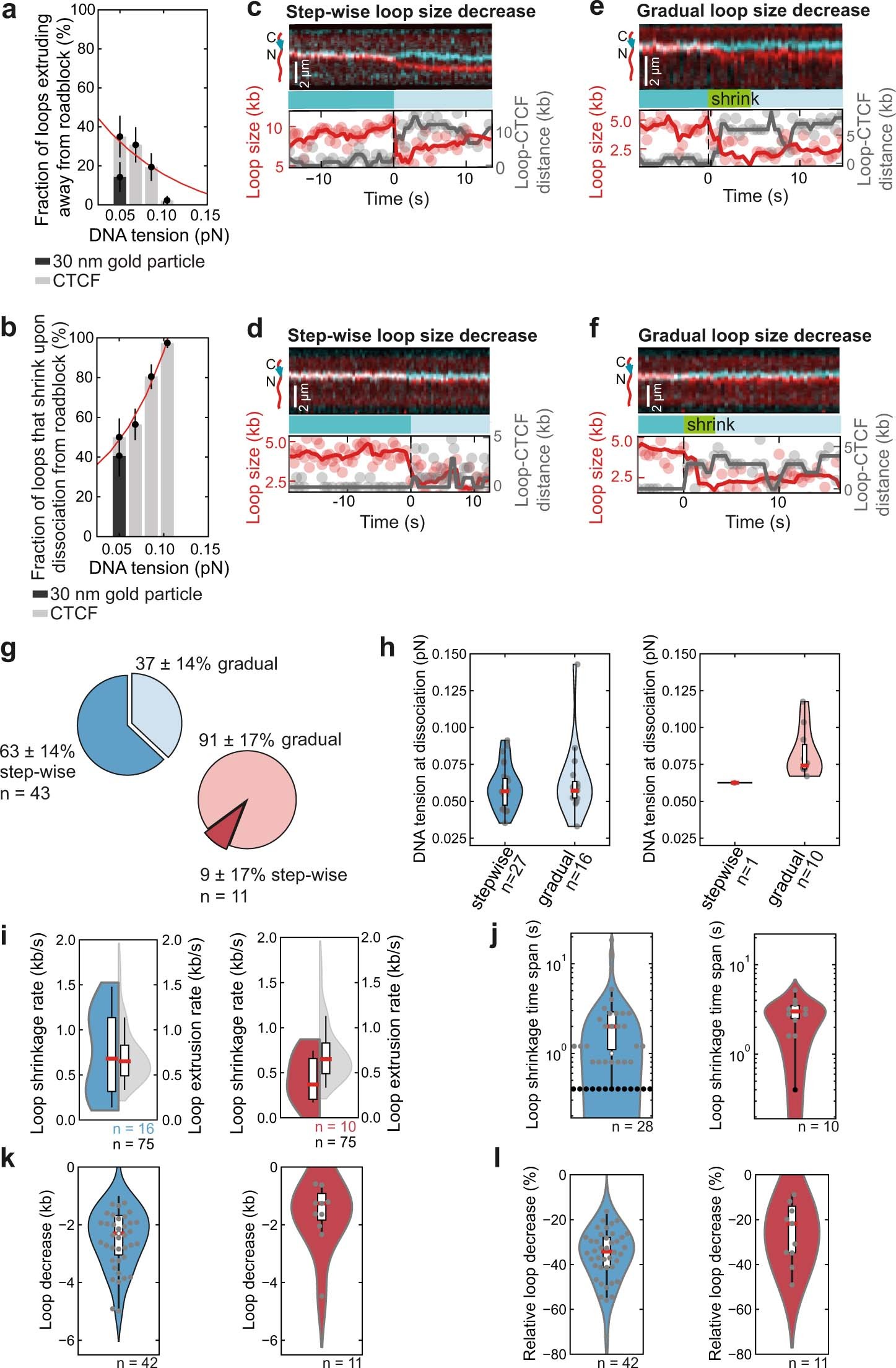 Extended Data Fig. 9: Characterization of direction switching and loop shrinkage following encounters between cohesin and CTCF or gold nanoparticles.