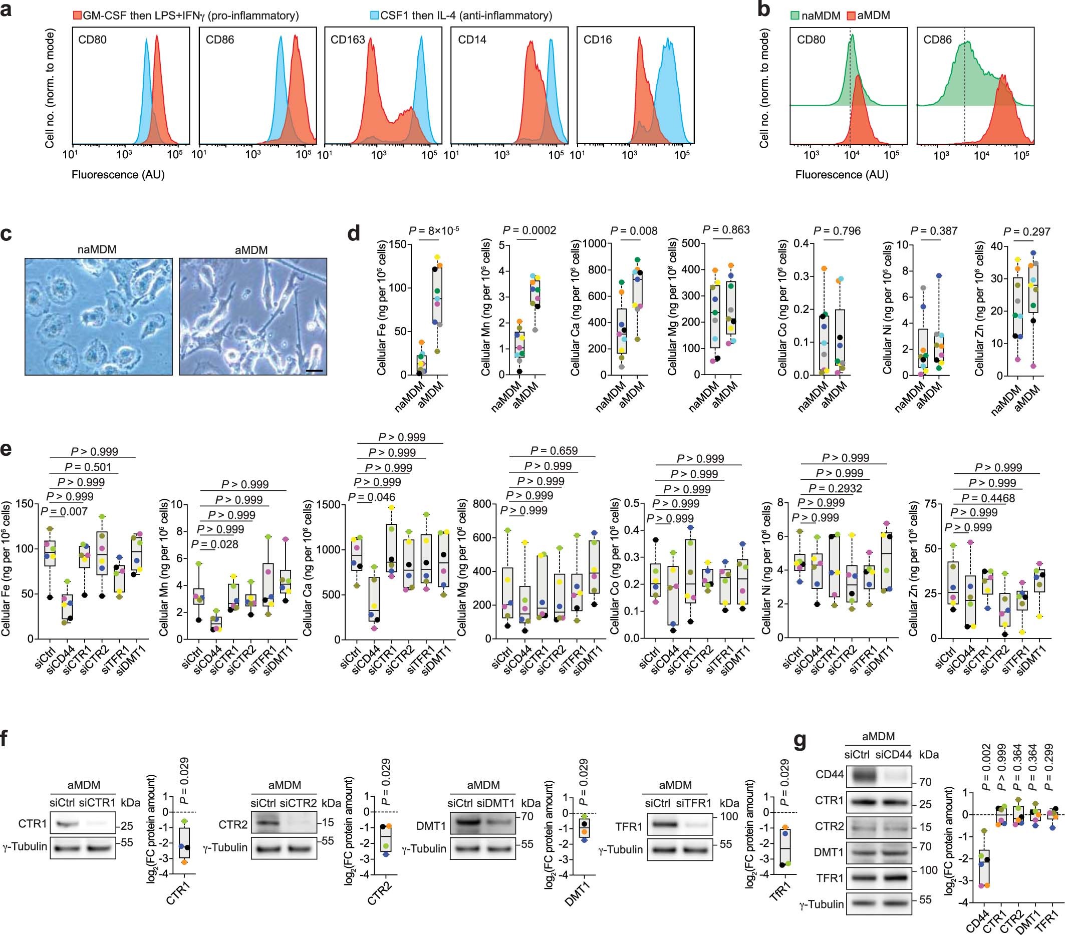 Extended Data Fig. 1