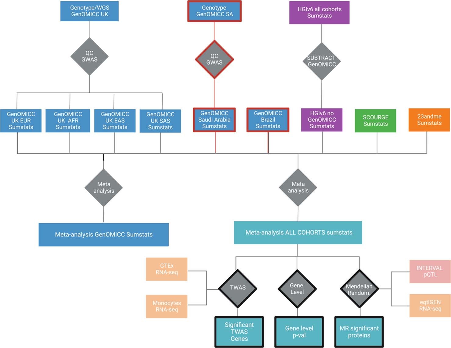 Extended Data Fig. 1: Pipeline of meta-analysis and post-GWAS analyses.