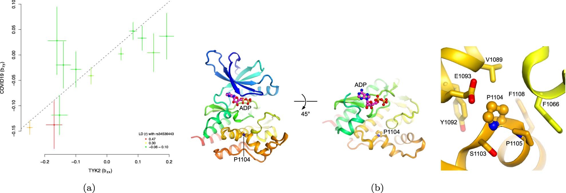 Extended Data Fig. 6: Functional genomics analyses for TYK2.