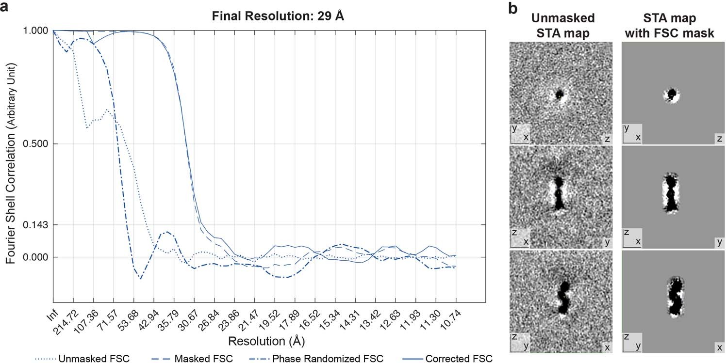 Extended Data Fig. 4