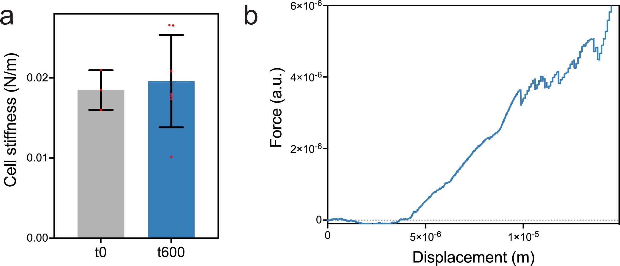 Extended Data Fig. 8: Cell stiffness and stress-strain curve.