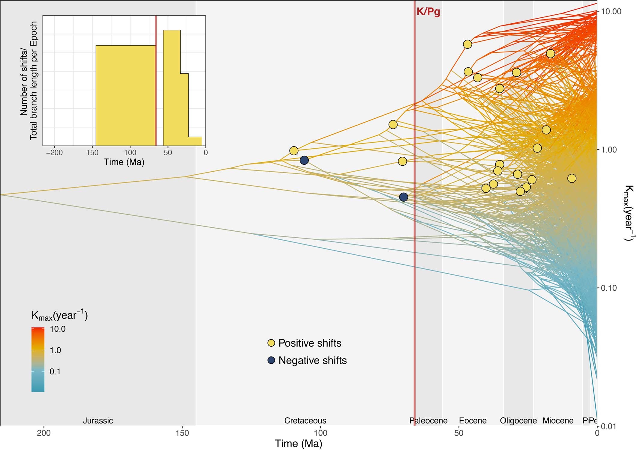 Extended Data Fig. 3