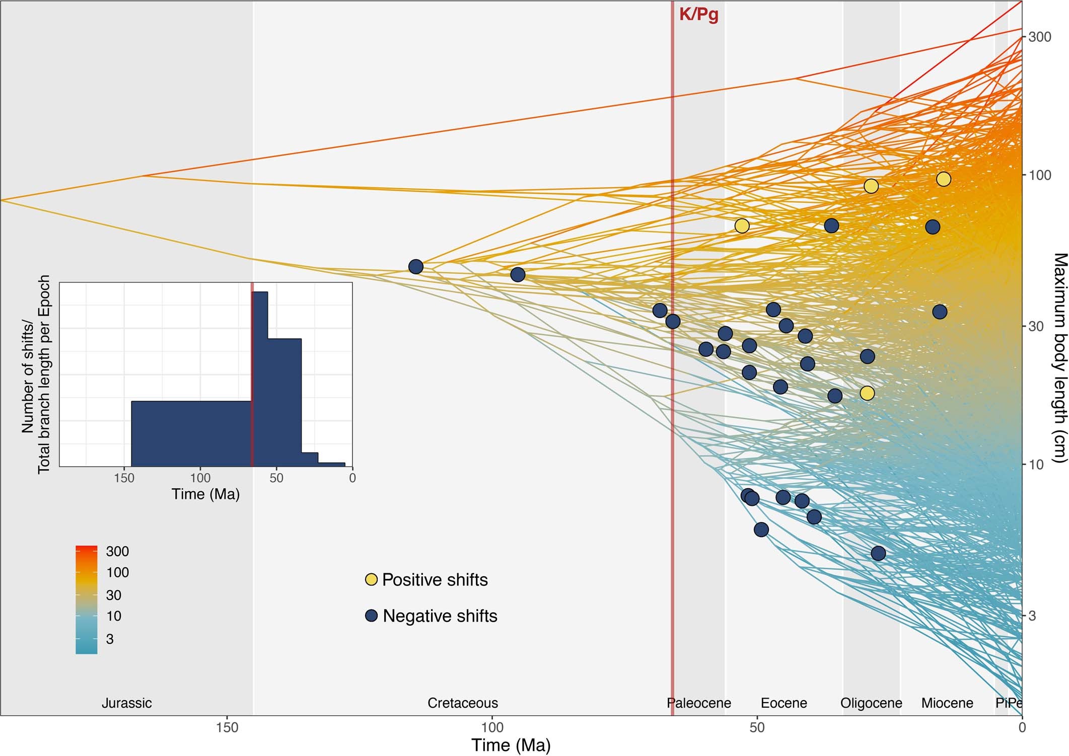 Extended Data Fig. 4