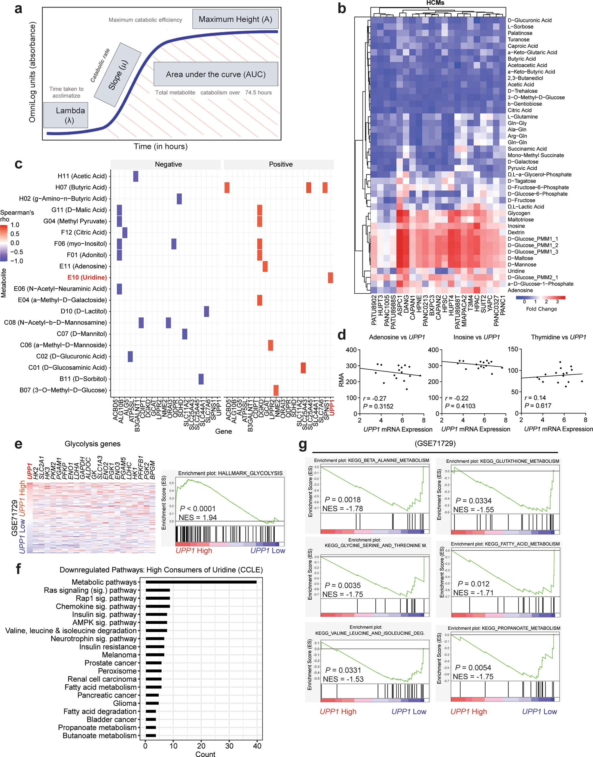 Extended Data Fig. 1: Correlation of nutrient utilization with gene expression identifies uridine and UPP1.