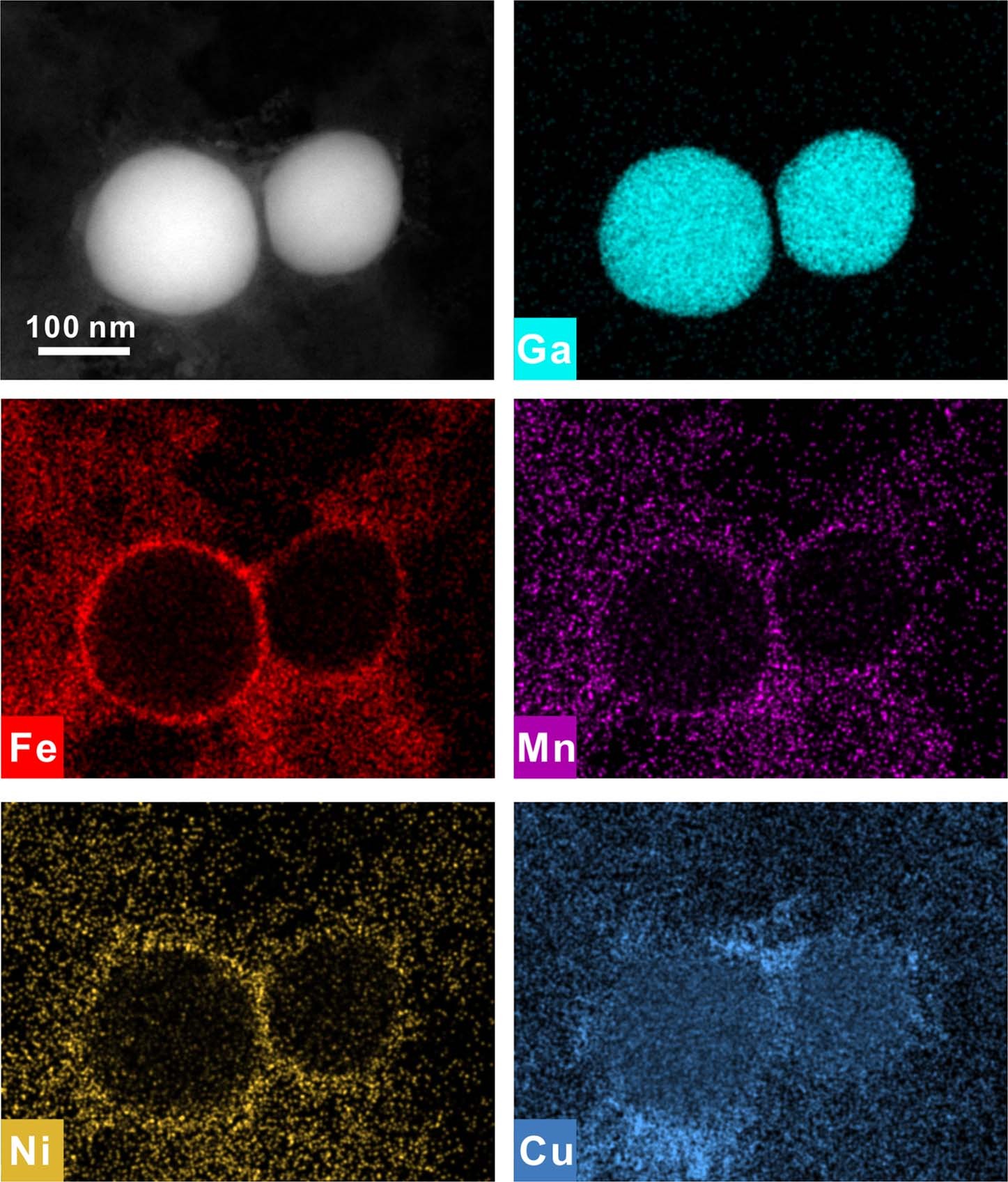 Extended Data Fig. 1: The TEM EDS mapping of the precursor with adjacent Ga NPs.