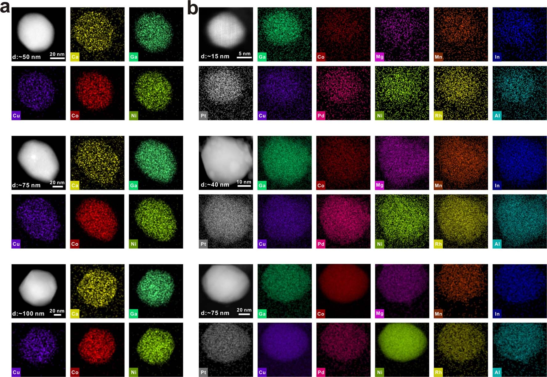 Extended Data Fig. 4: Elemental characterization of HEA-NPs with different diameters.