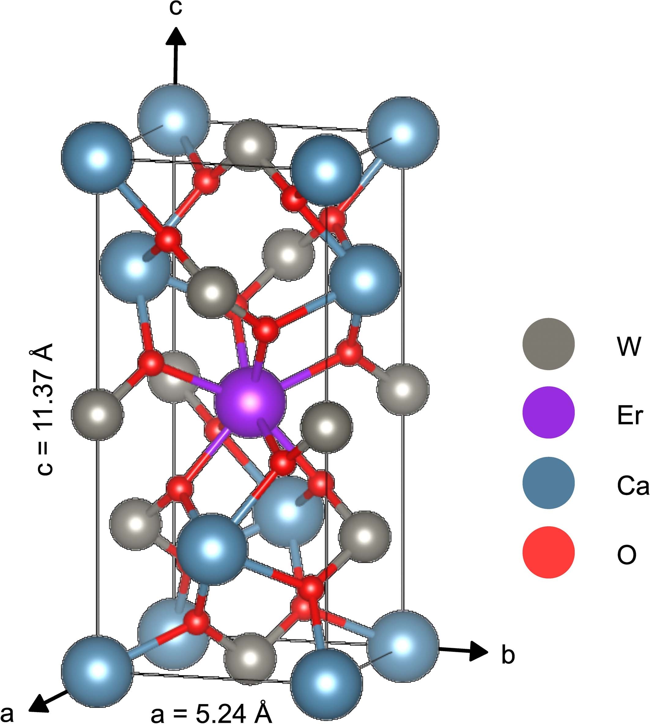 Extended Data Fig. 1: Crystal structure of Er3+: CaWO4.