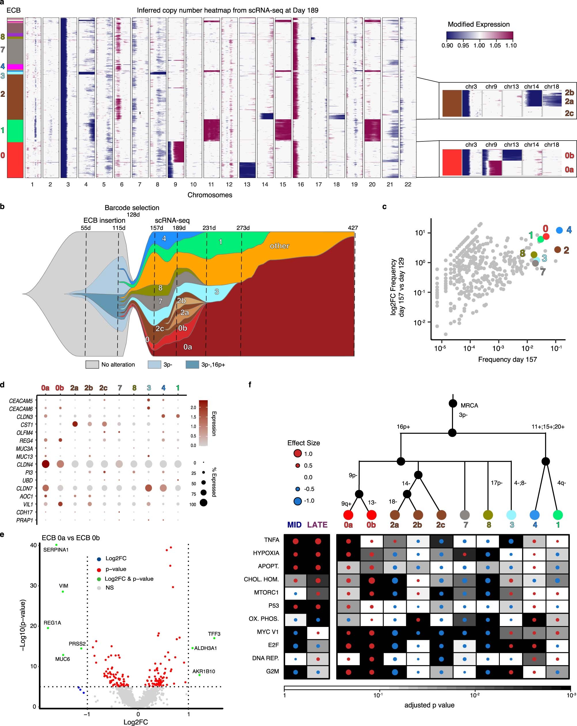 Extended Data Fig. 9: Linking single-cell genotypes to their transcriptional phenotypes in in 
                        D3C2R1
                        
                      .