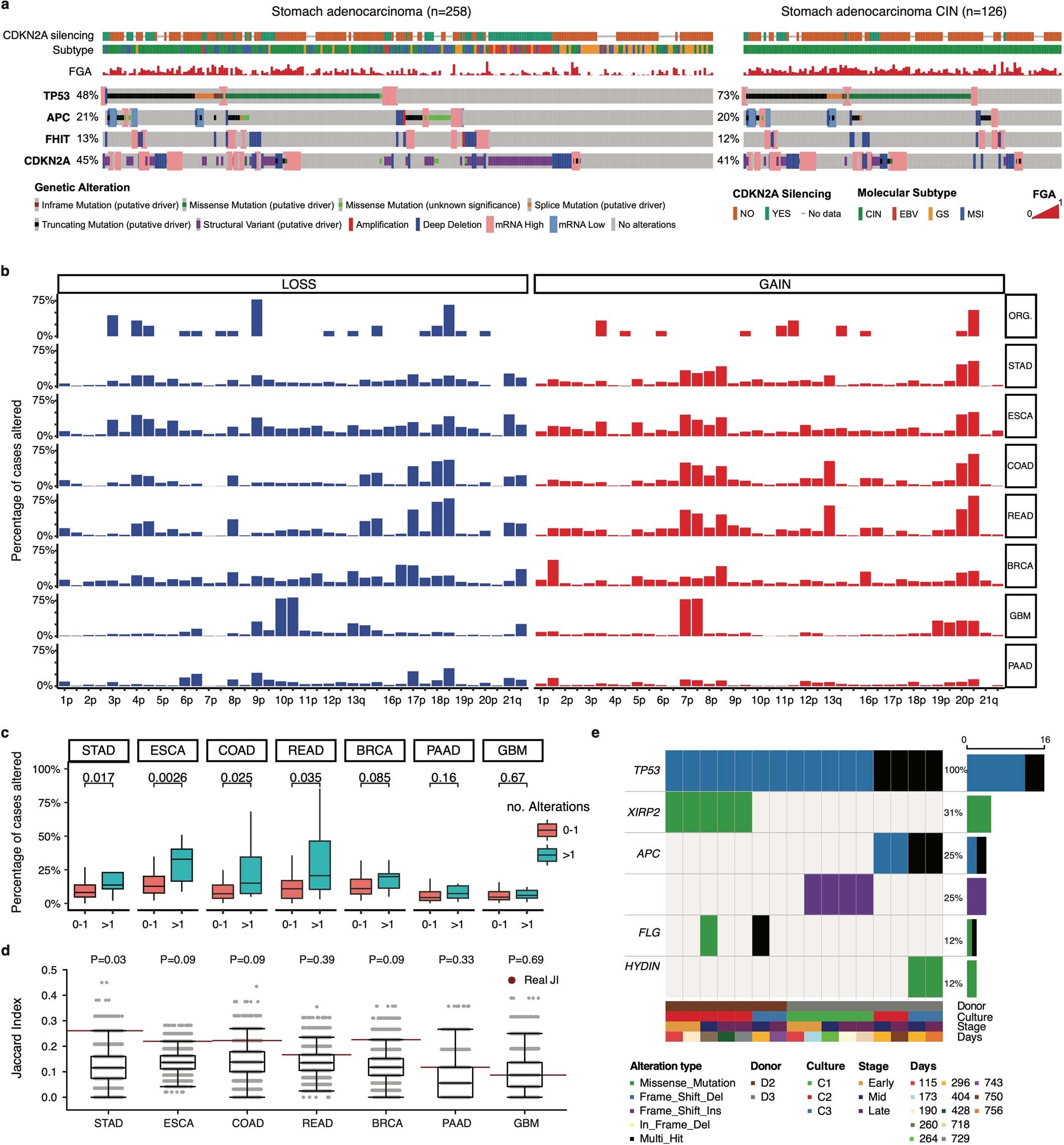 Extended Data Fig. 2: Recurrent copy number aberrations in TP53-deficient gastric organoids are enriched in gastric and esophageal cancers.