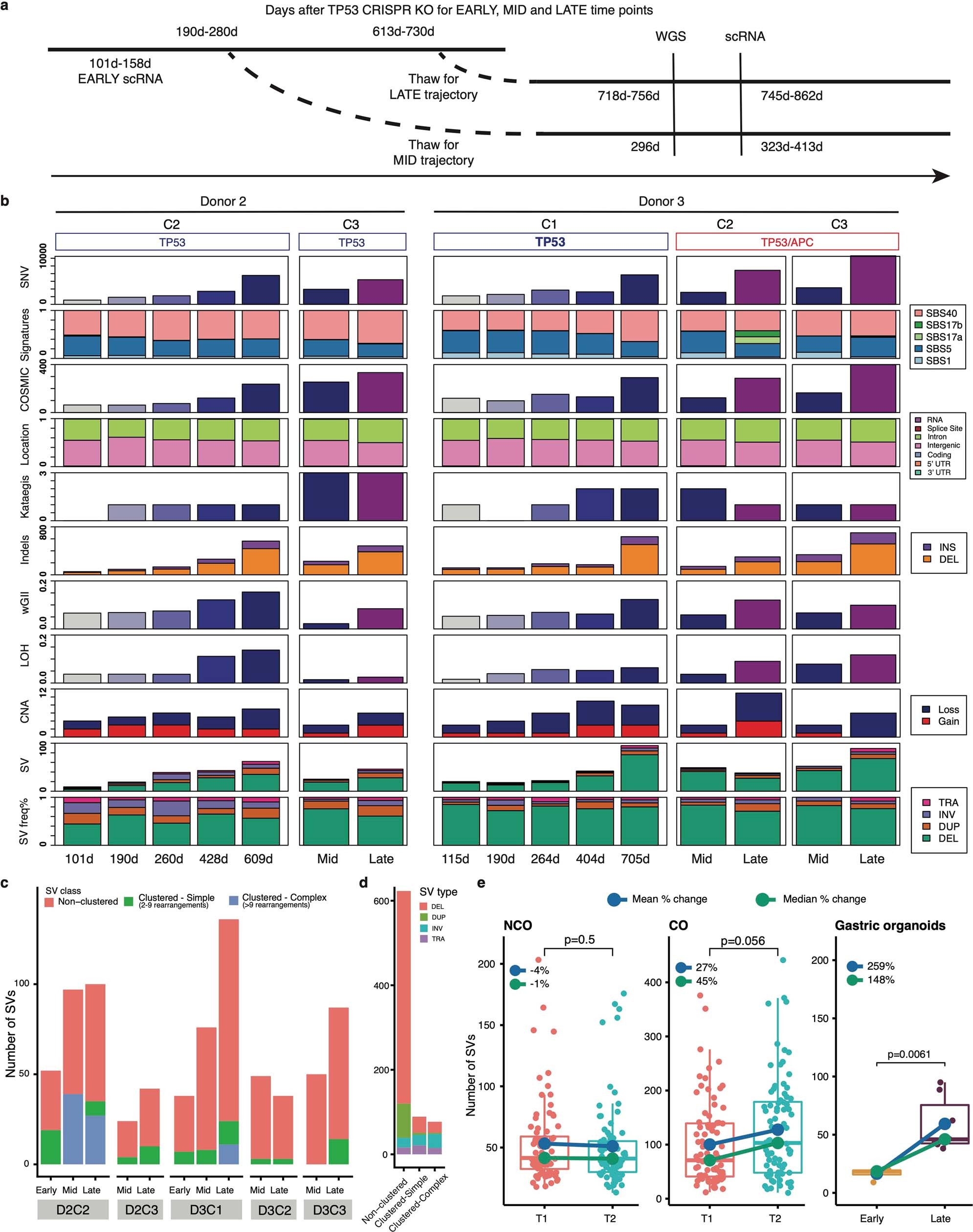 Extended Data Fig. 3: Longitudinal whole genome sequencing (WGS) of TP53−/− gastric organoids .