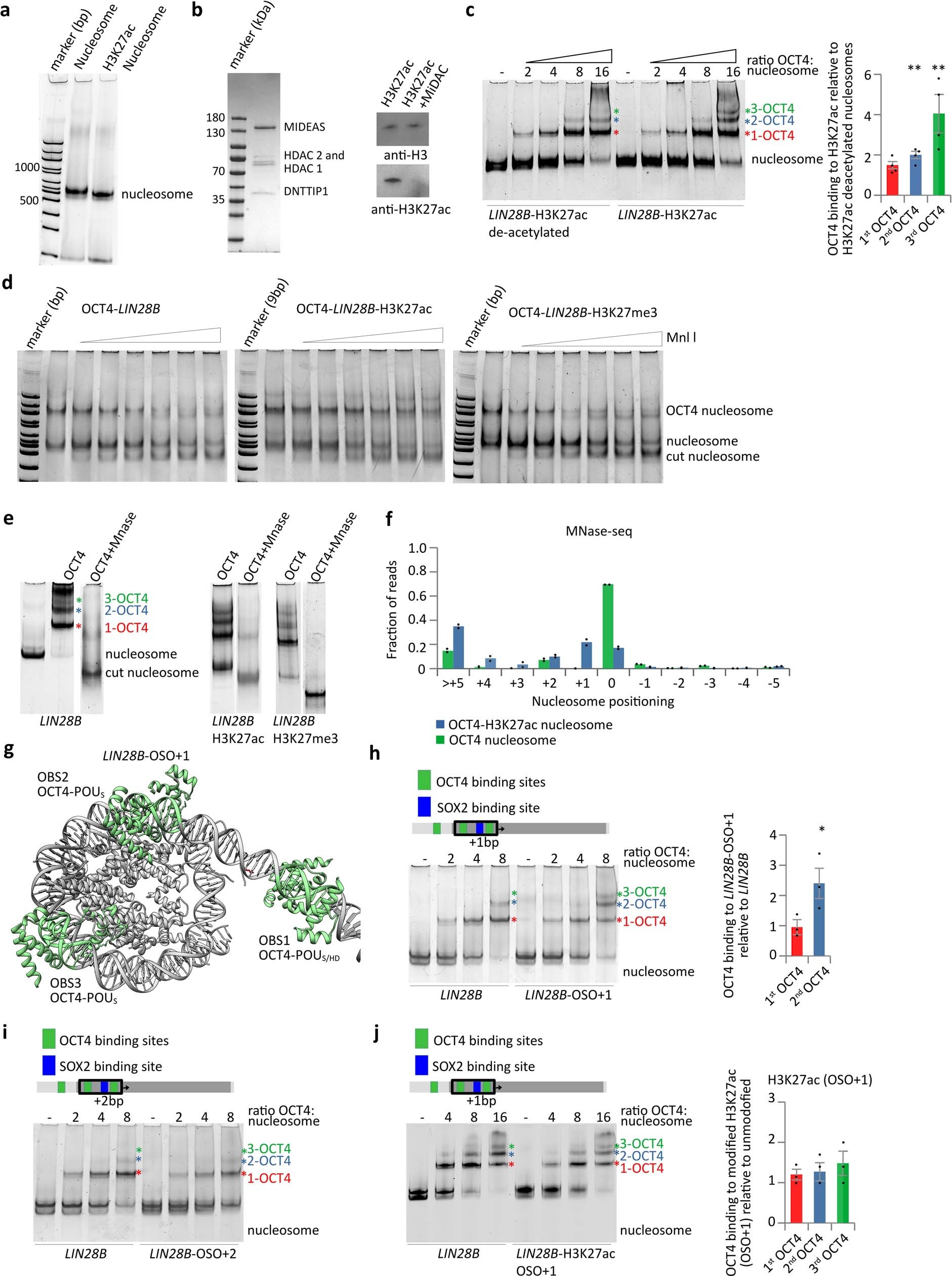 Extended Data Fig. 6: Histone modifications modulate OCT4 cooperativity.