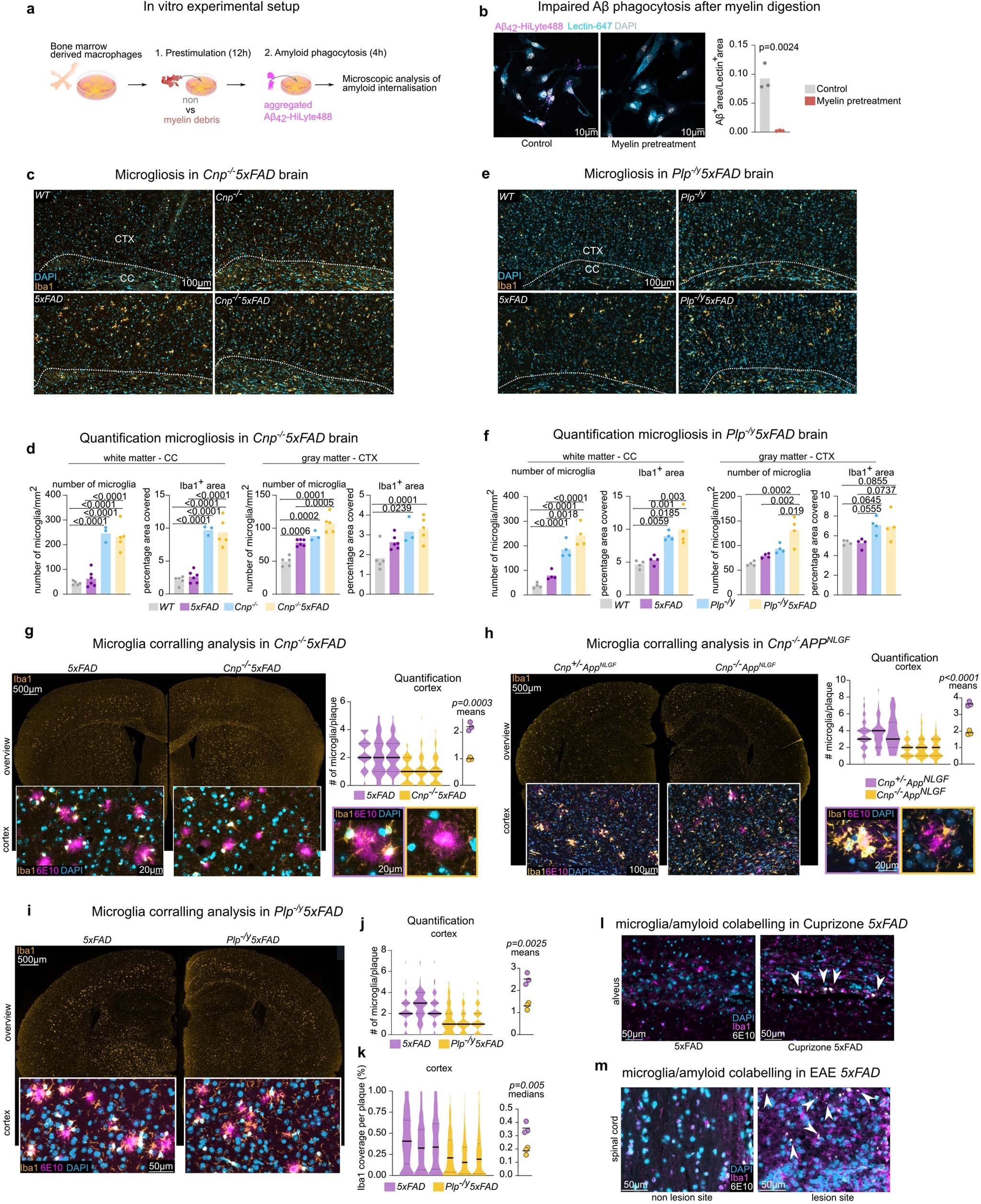 Extended Data Fig. 7