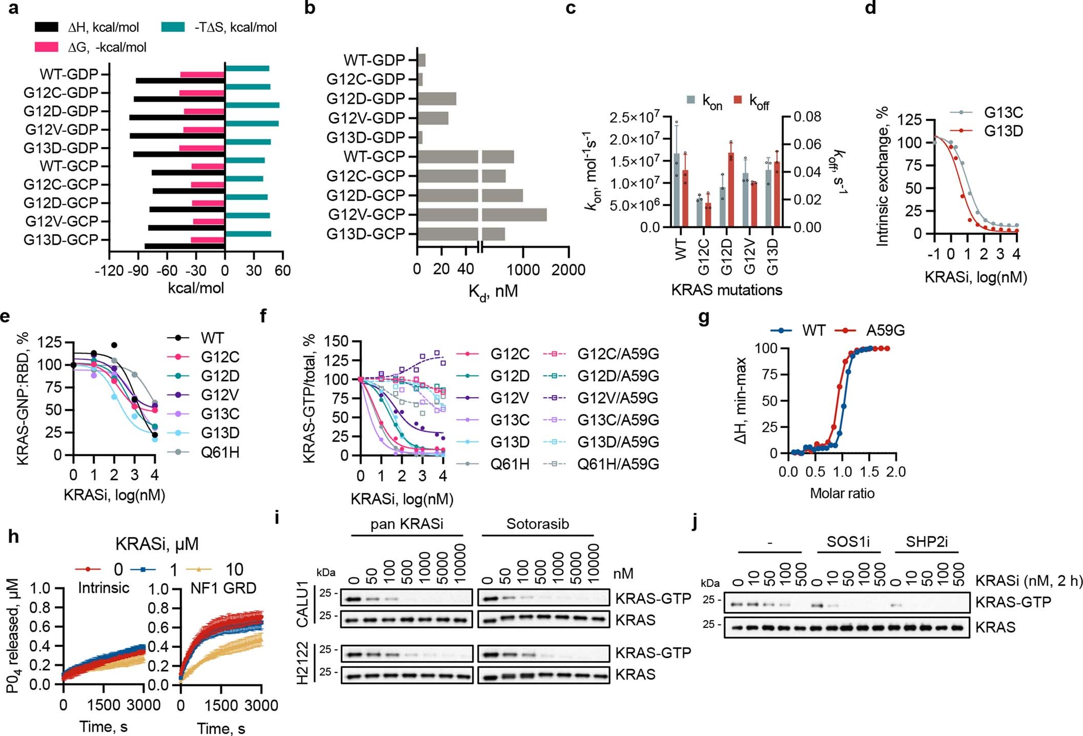 Extended Data Fig. 2: Biochemical and cellular effects of the KRAS inhibitor.